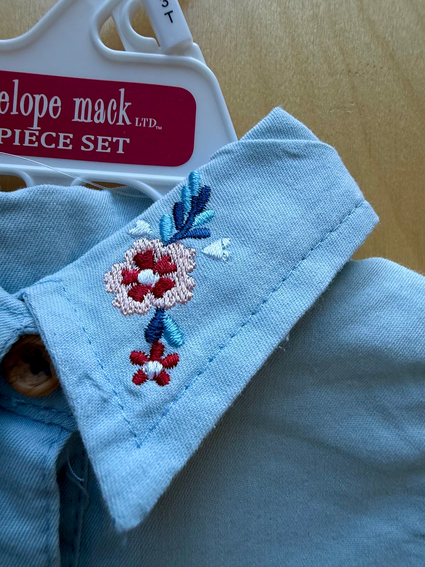 Embroidery Collar + Checkered Shorts Set (With tags) / 3T