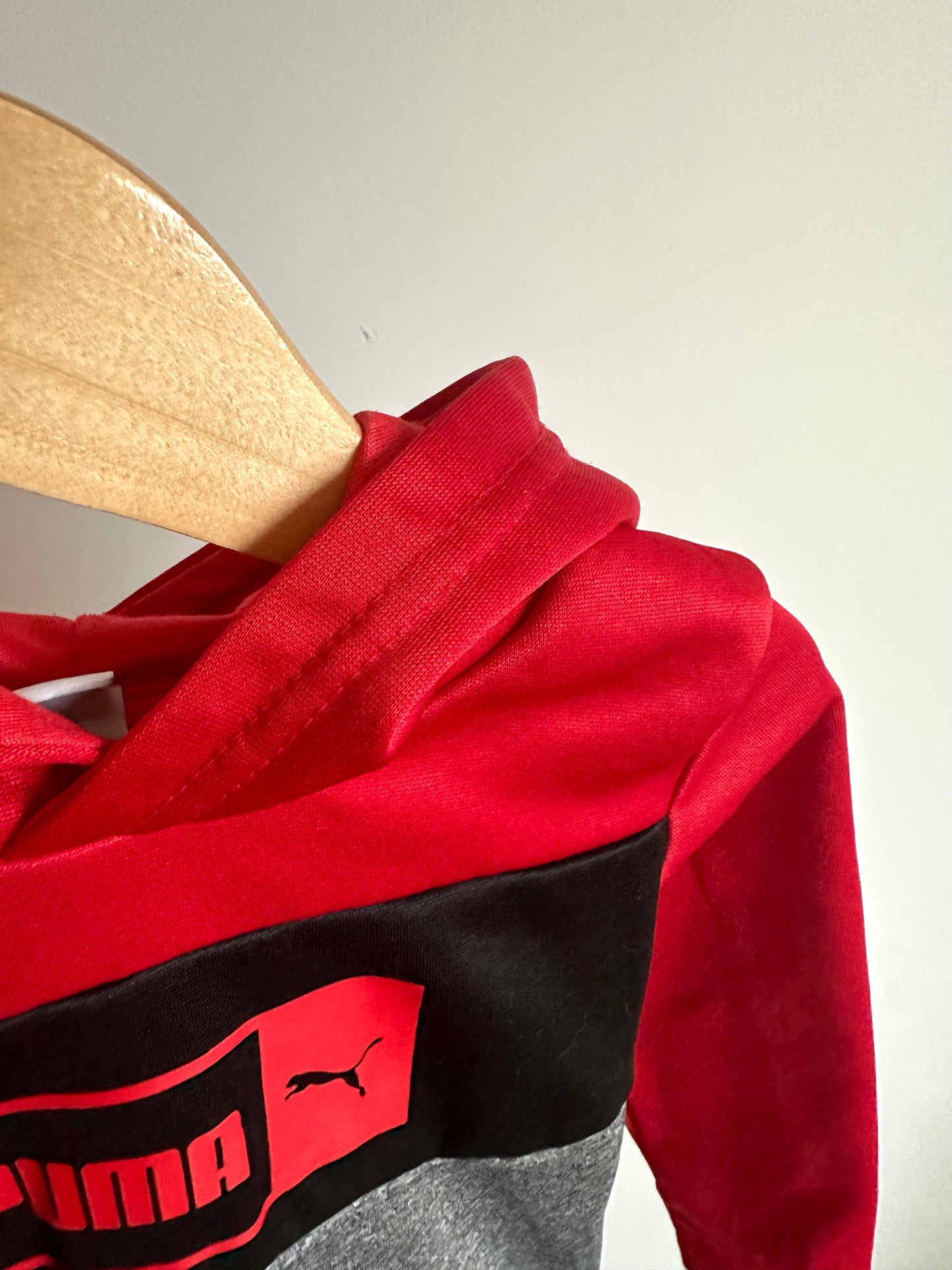 Puma Logo Hoodie / 2T