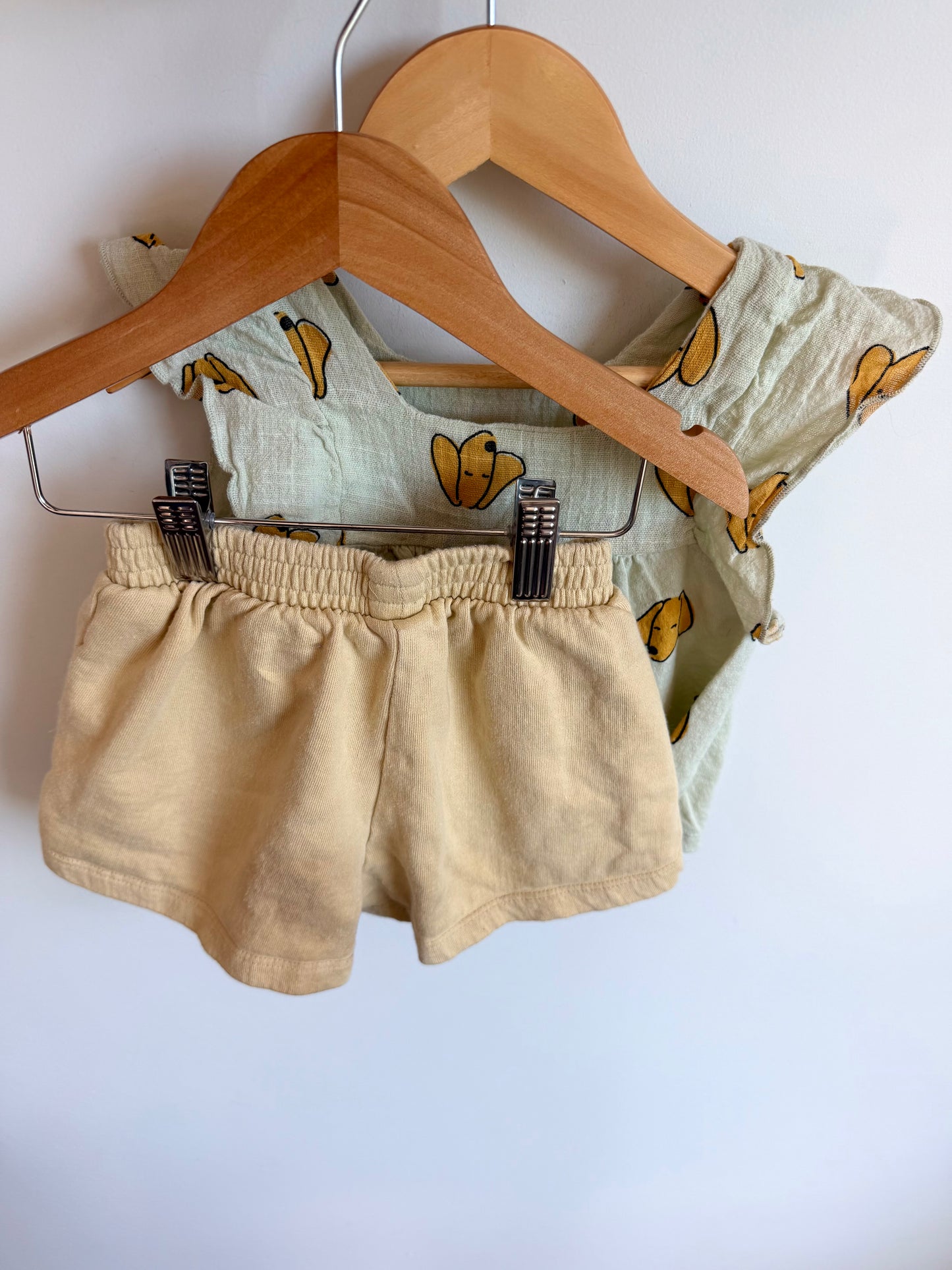 Zara Puppy Ruffle Tank + Shorts Set (PLAY) / 3T