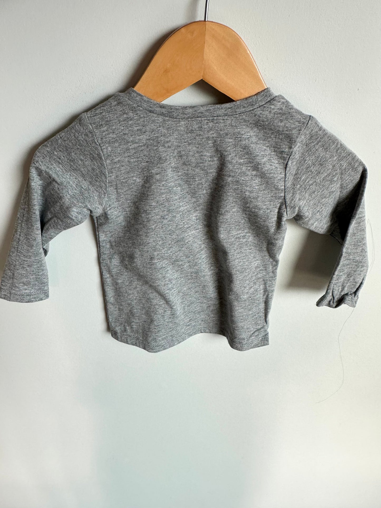 Lookin' Sharp Cactus Top / 6m