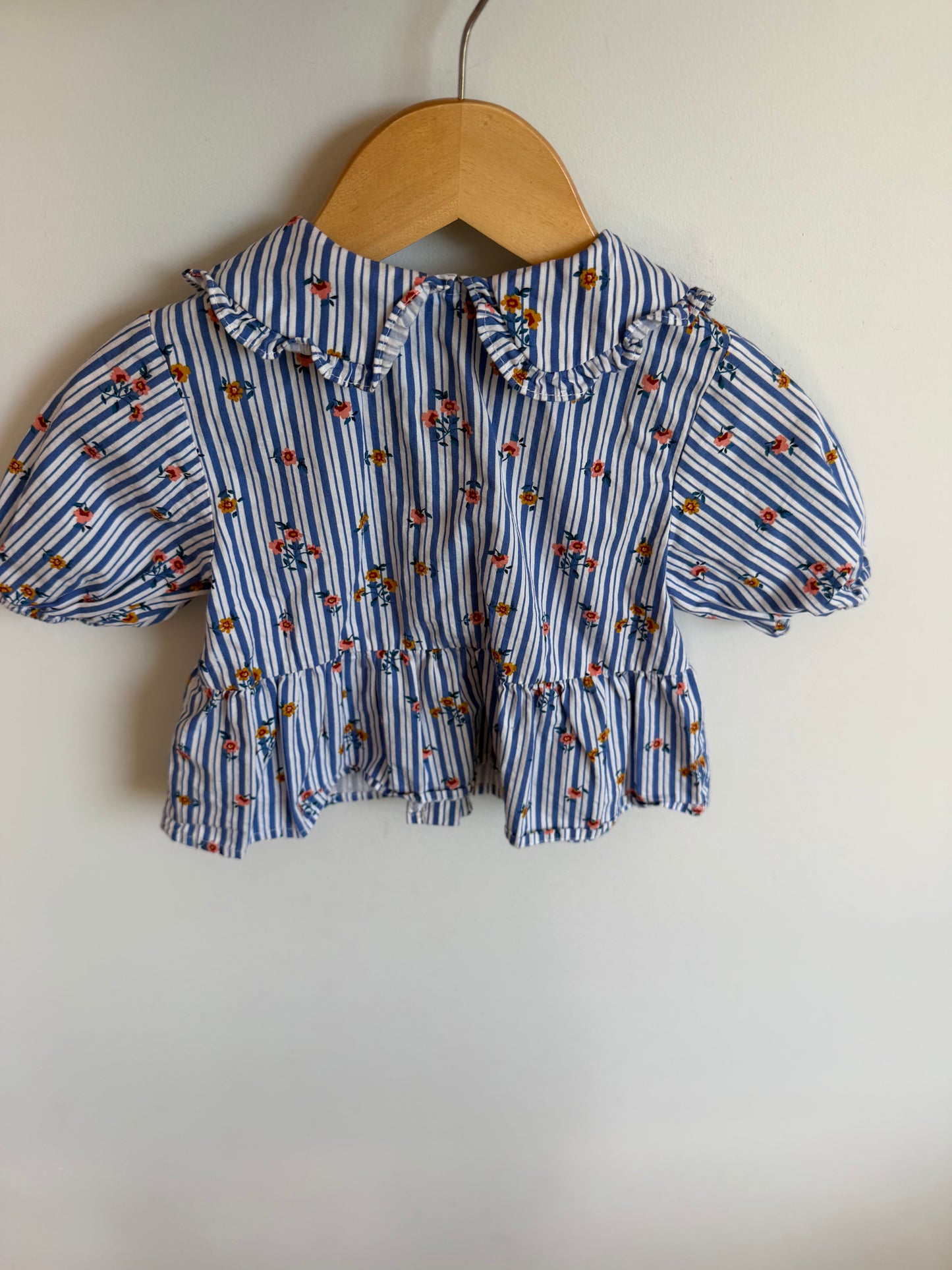 Zara Floral Vertical Stripe Peplum Top / 2-3T