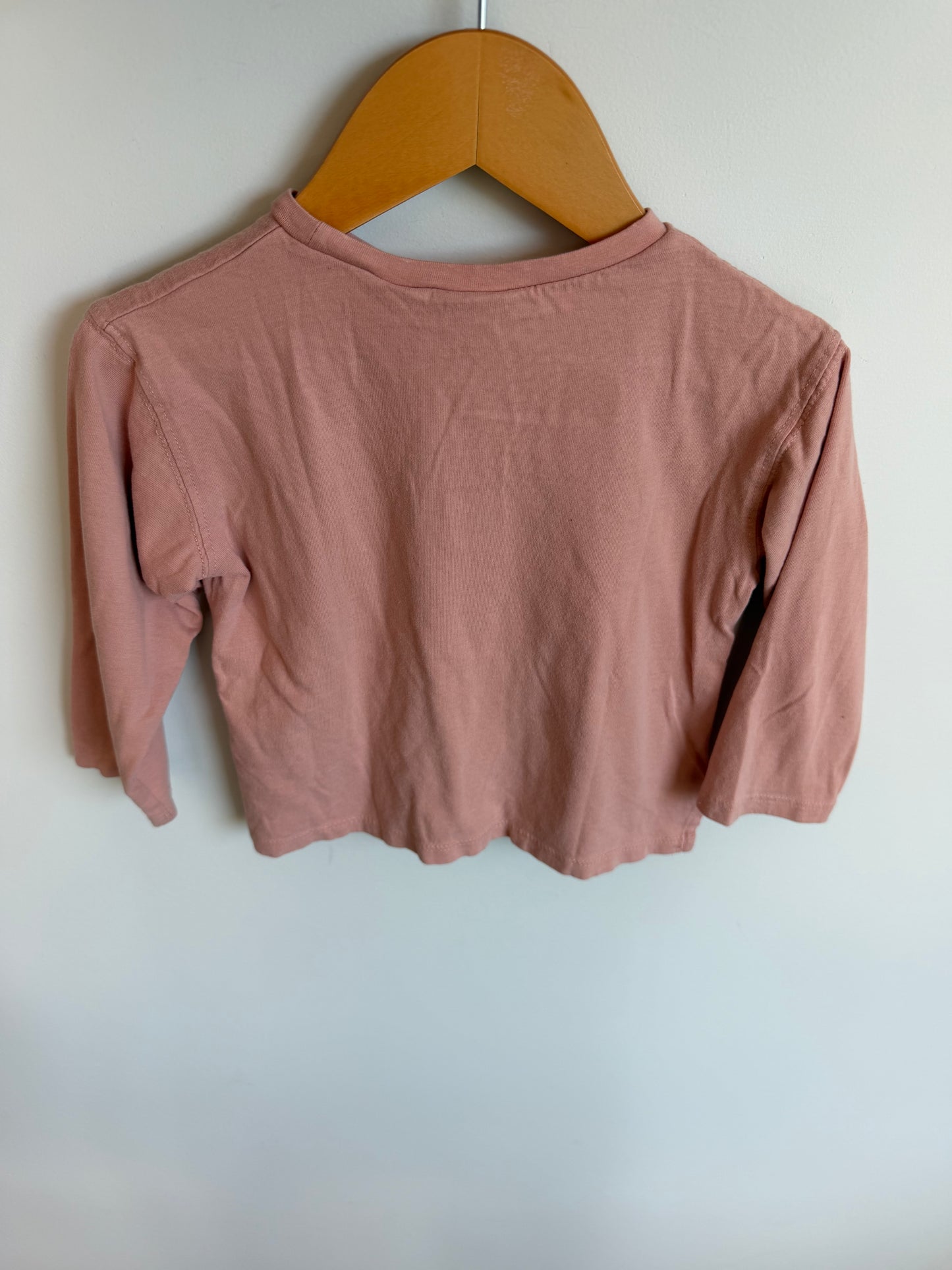 Zara Boxy Swan Long Sleeve / 2-3T