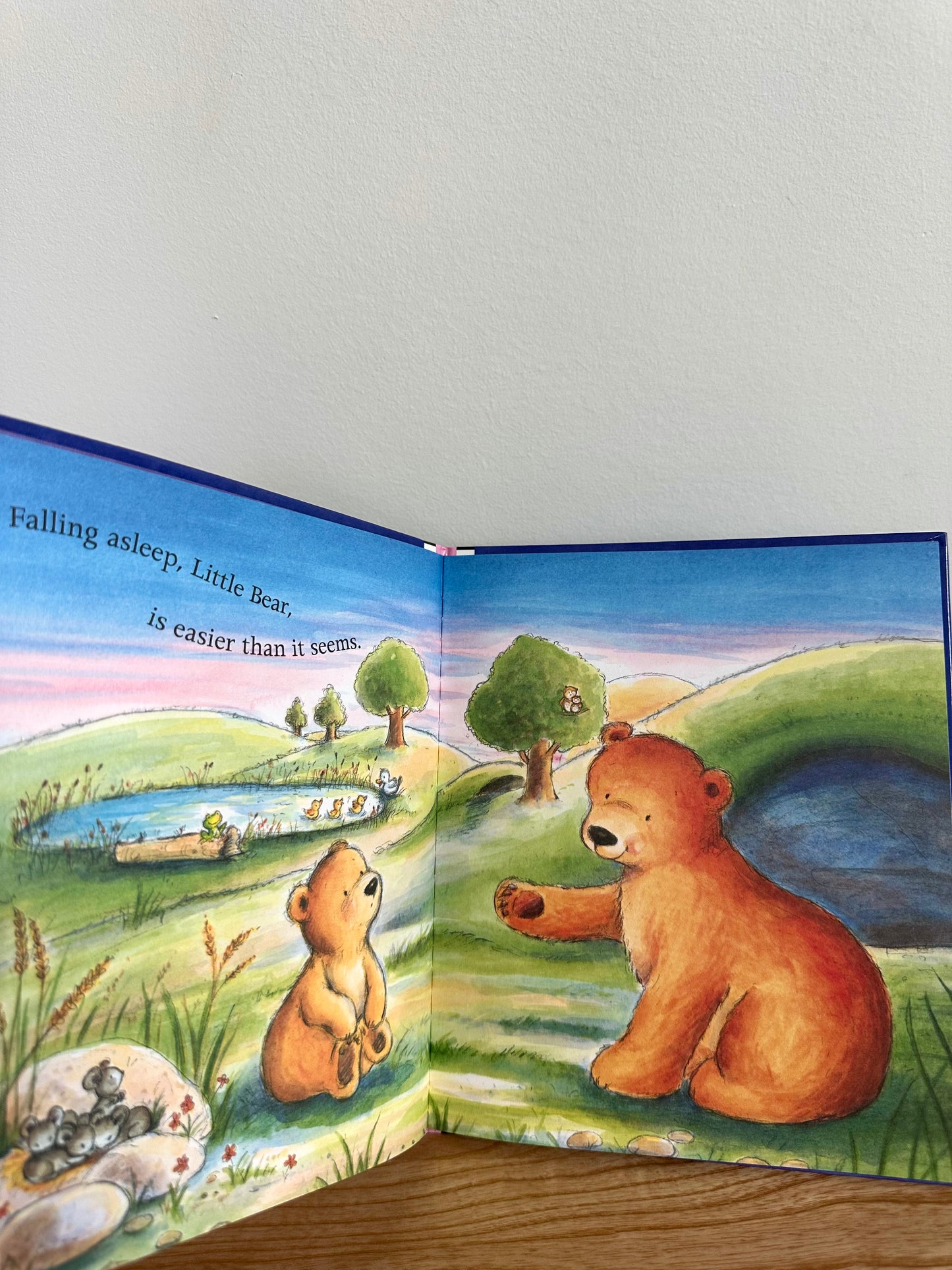 Good Night, Little Bear Book / 0-2 years