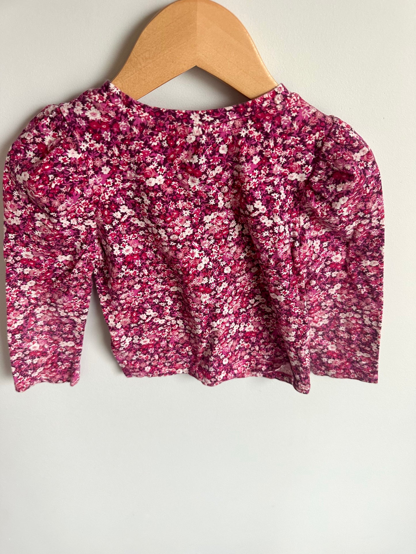 Floral Rouge Billowy Sleeve Top / 3T