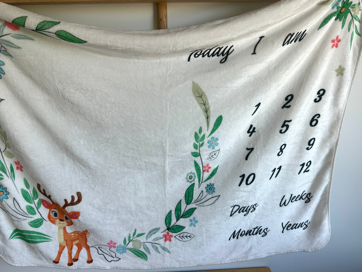 Fleecy Milestone Blanket (No Shipping(