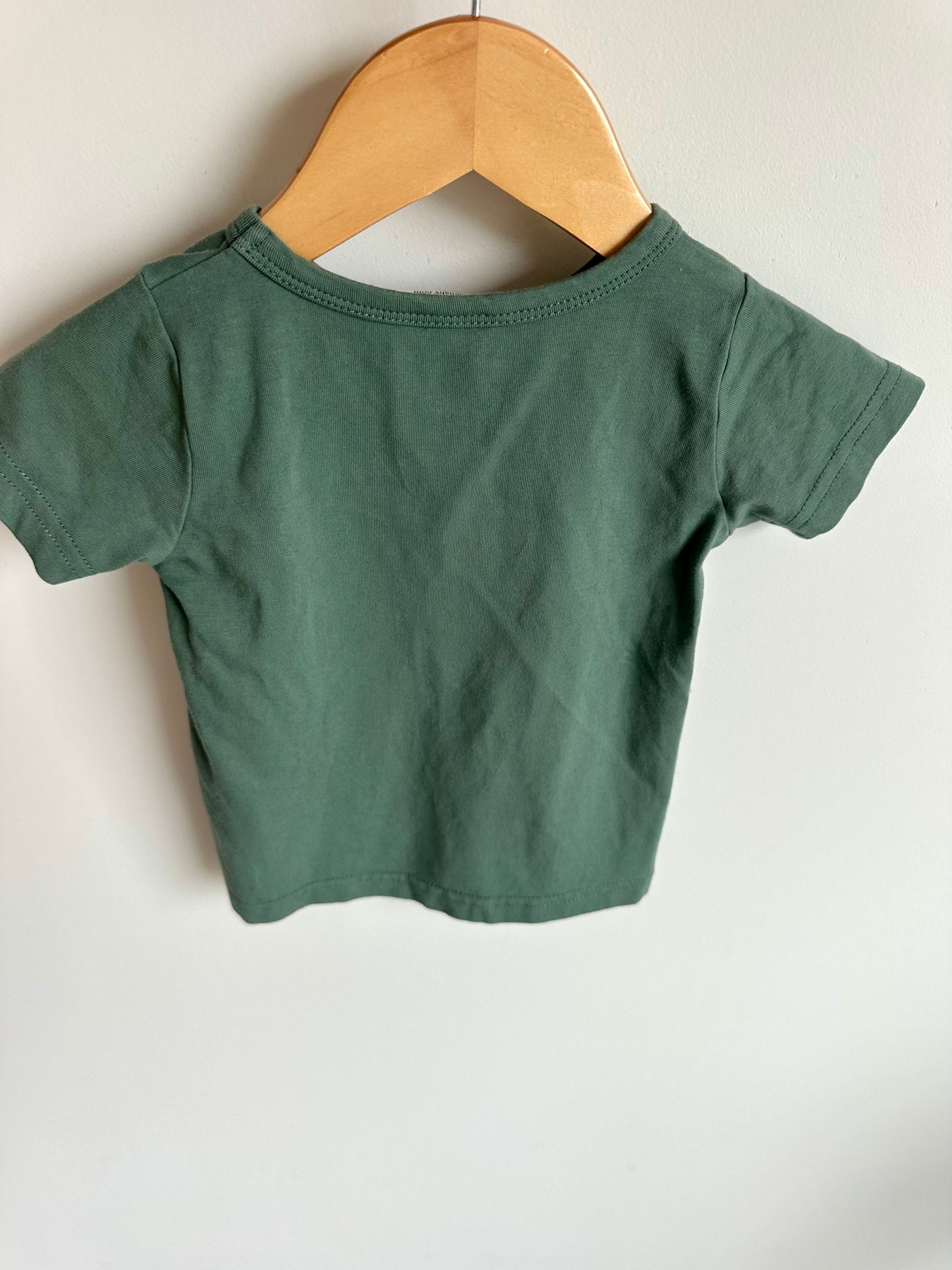 Green Camper Van Top / 18m