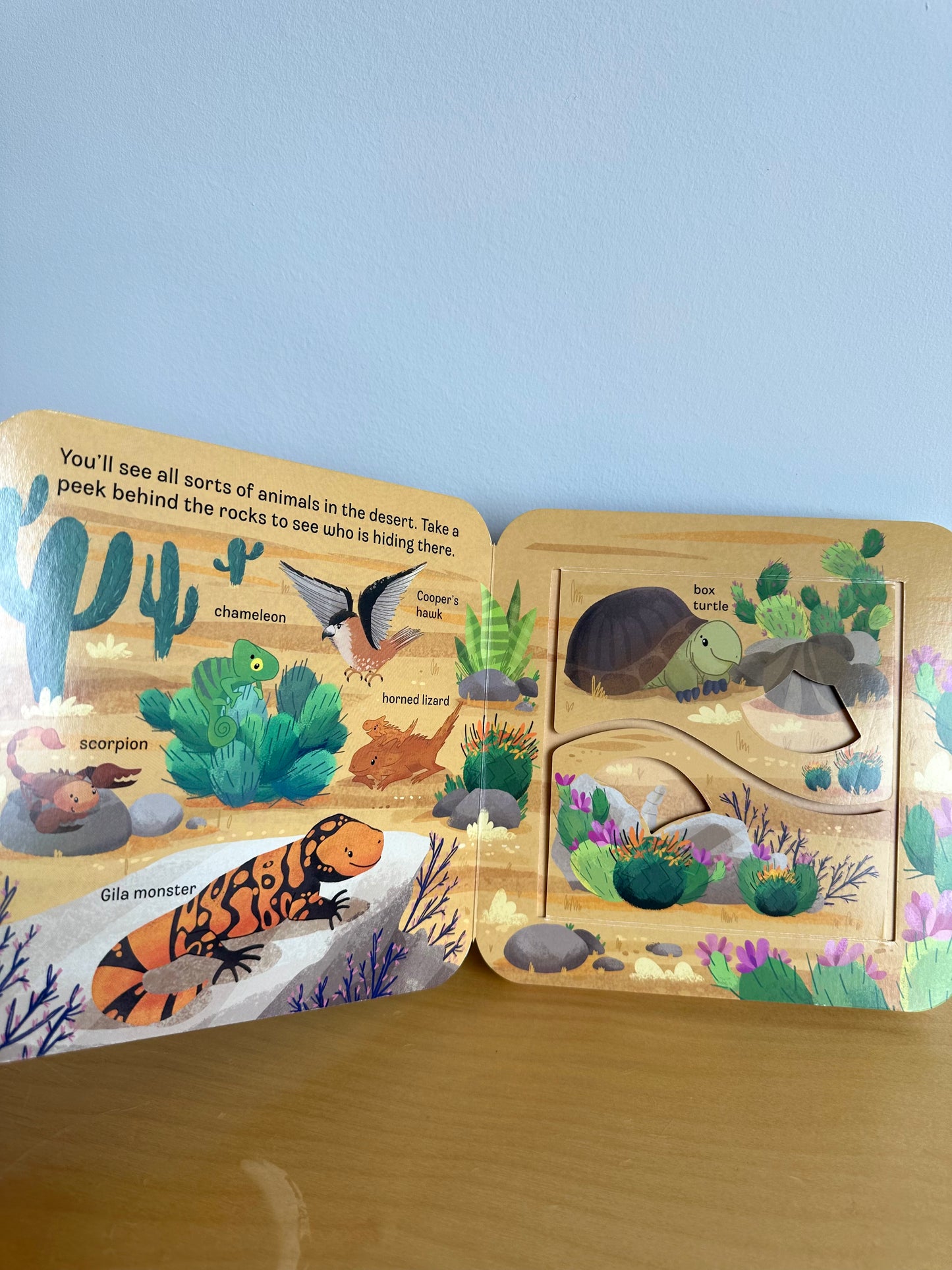Zoo Peek-a-Flap Book / 2-6 years