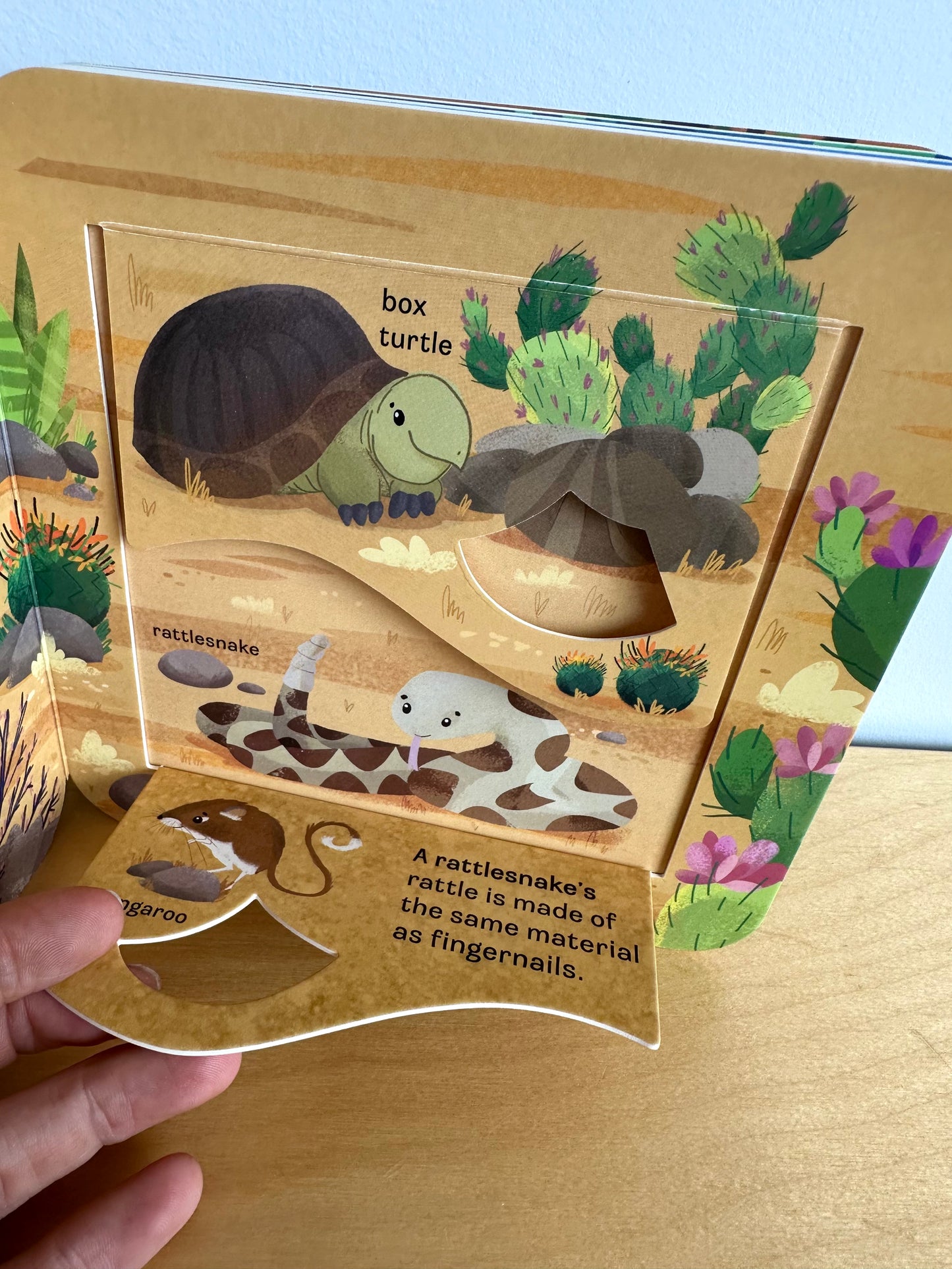 Zoo Peek-a-Flap Book / 2-6 years