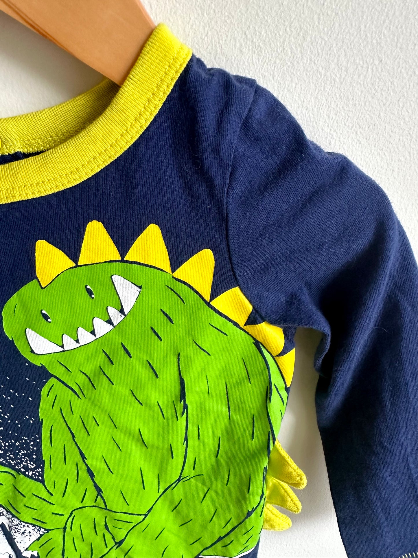 Chill Dino Long Sleeve Top / 12-18m