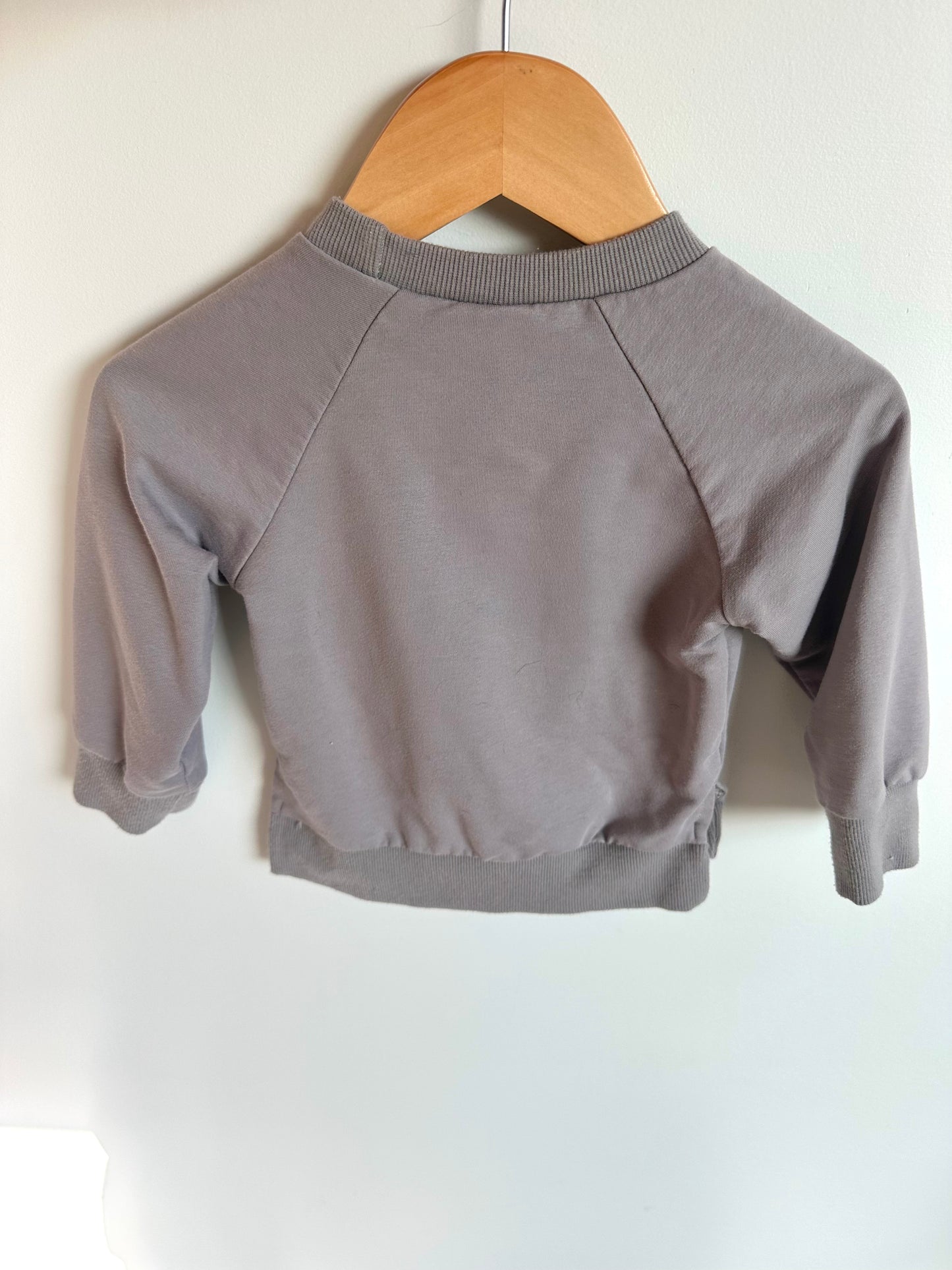 Grey Crew Neck Sweater / 9m
