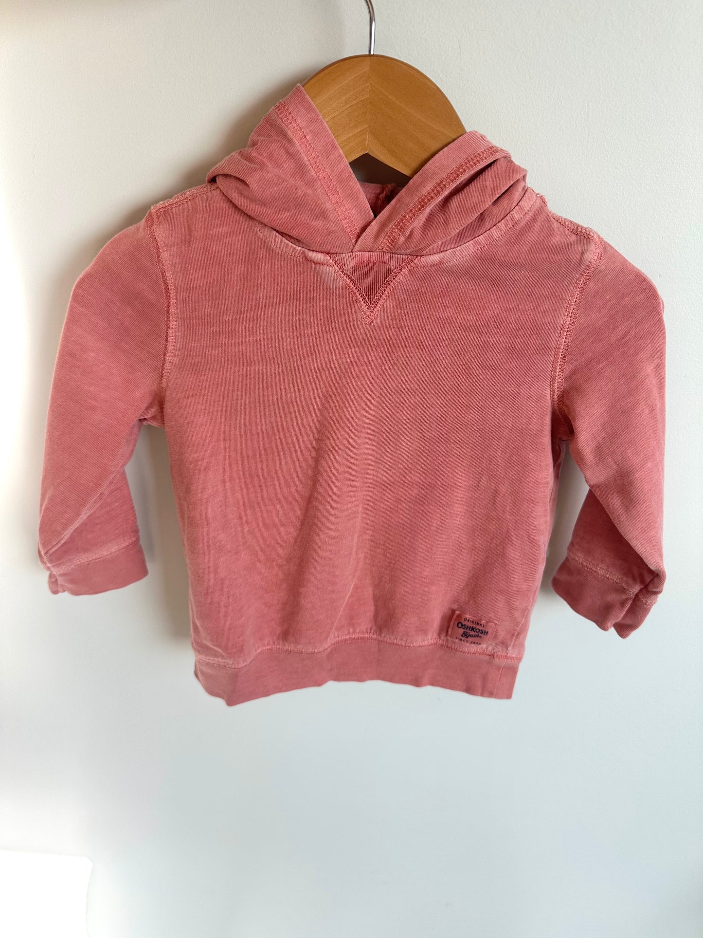 Salmon Hoodie / 12m