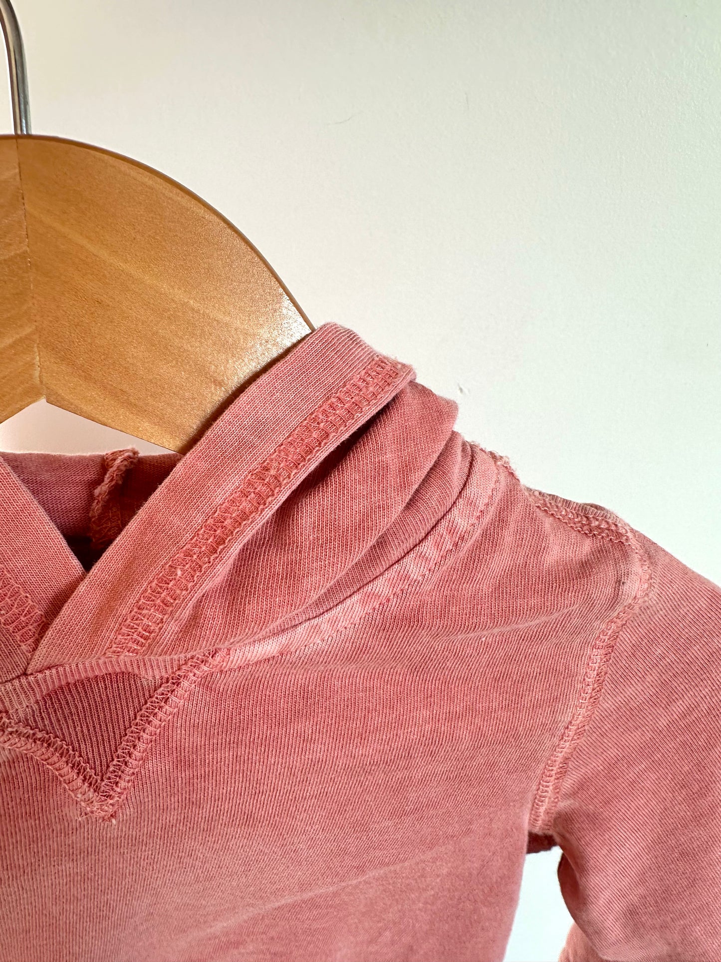 Salmon Hoodie / 12m