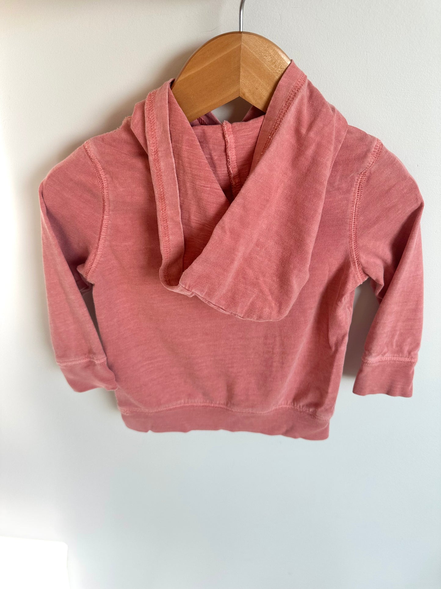 Salmon Hoodie / 12m