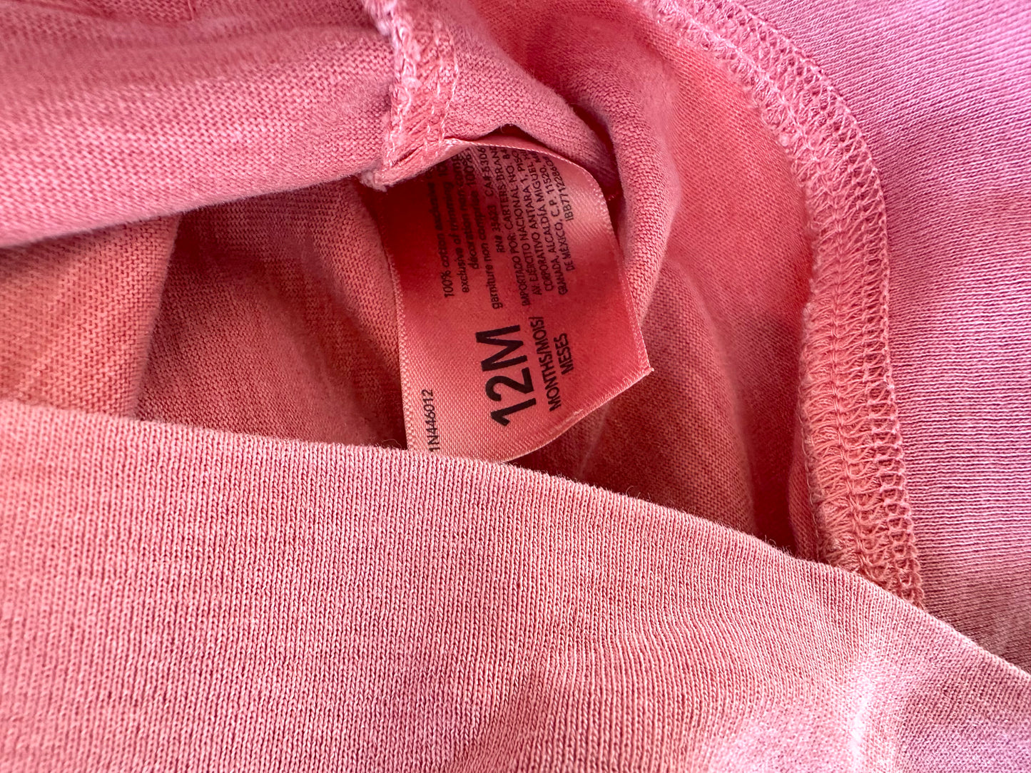 Salmon Hoodie / 12m