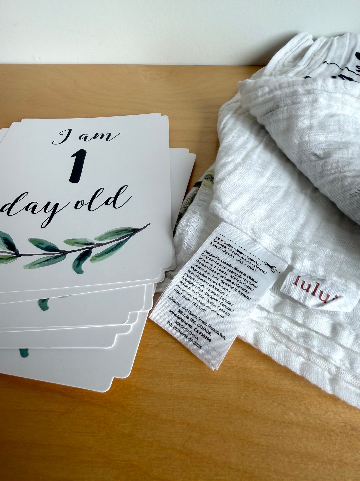 Hello World Photo Blanket and Milestone Cards (PLAY) / No Shipping