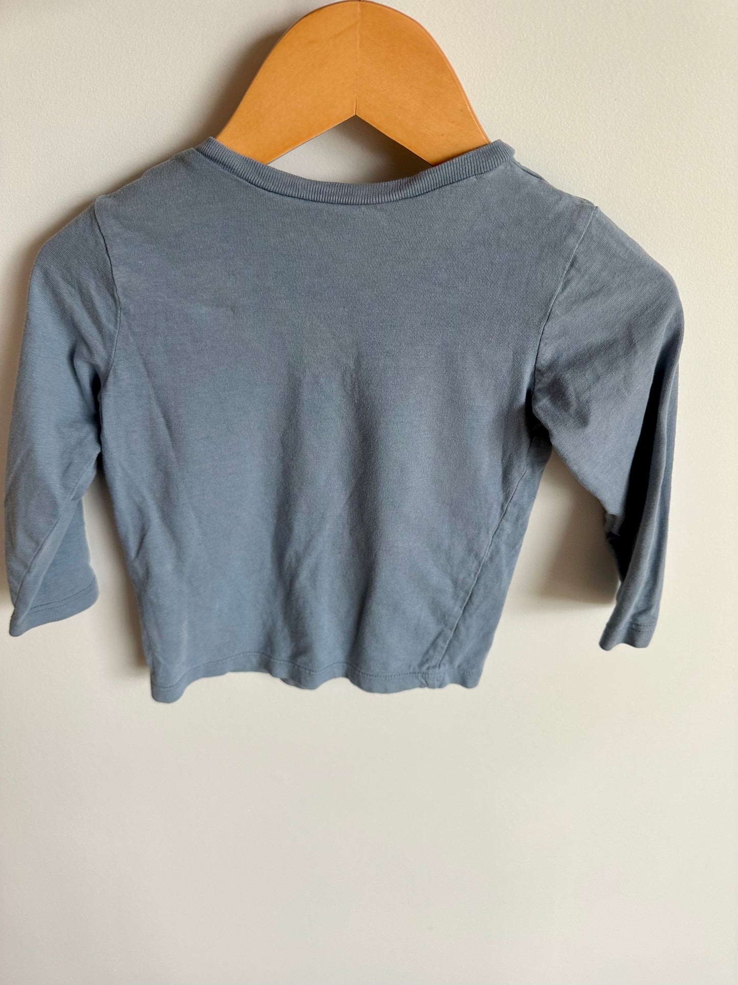 Blue H&M Long Sleeve / 9-12m