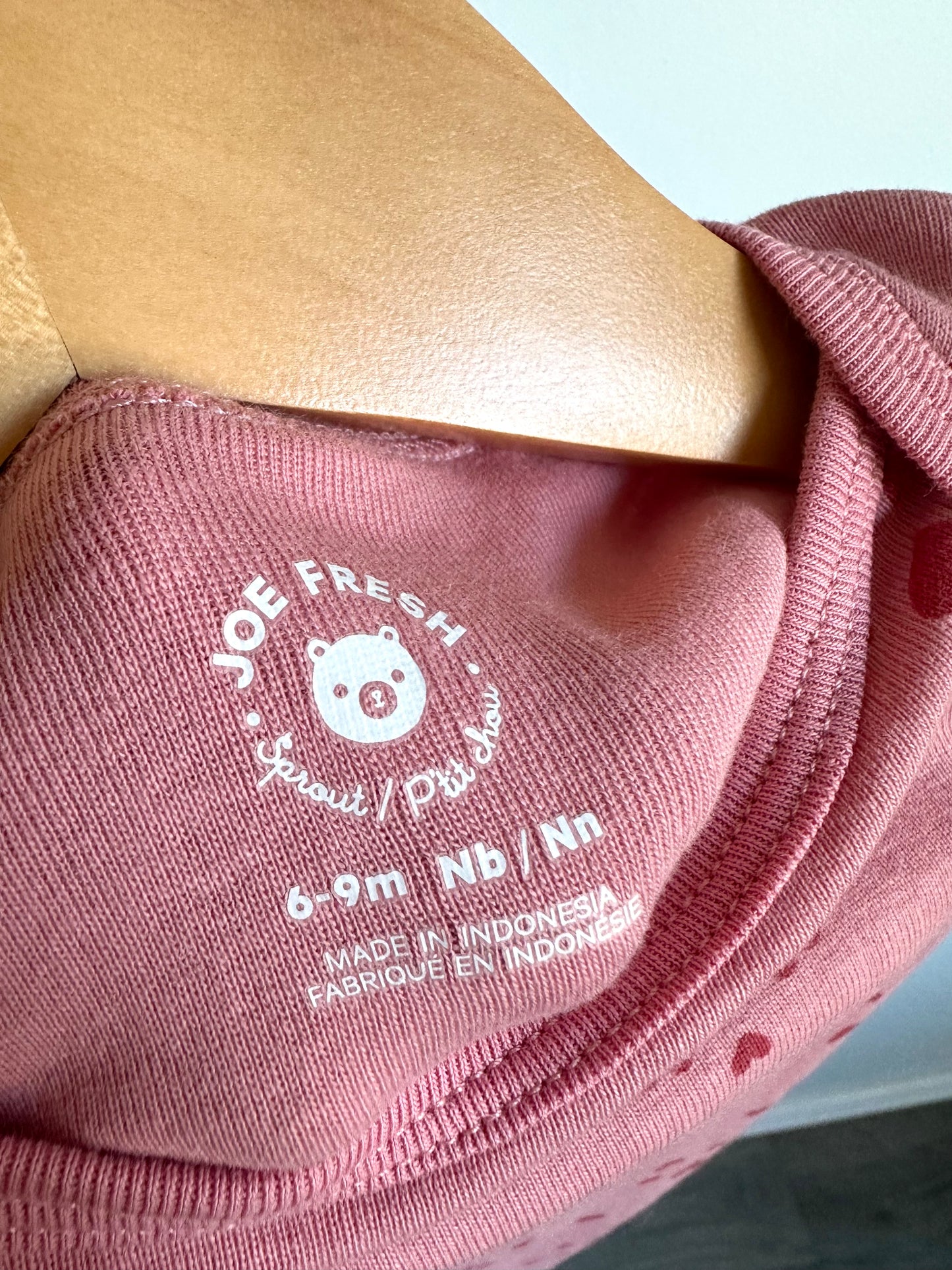 Blush Hearts Bodysuit / 6-9m