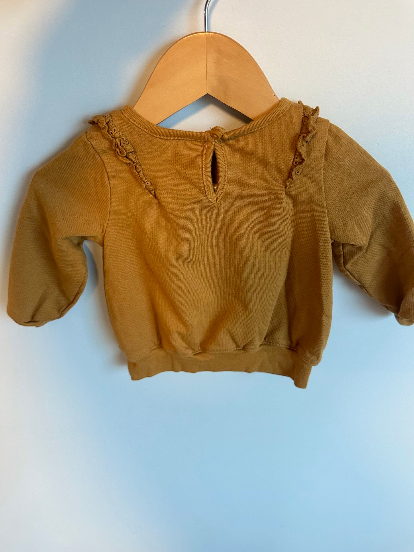 Carmel Pull Over Sweater / 9m