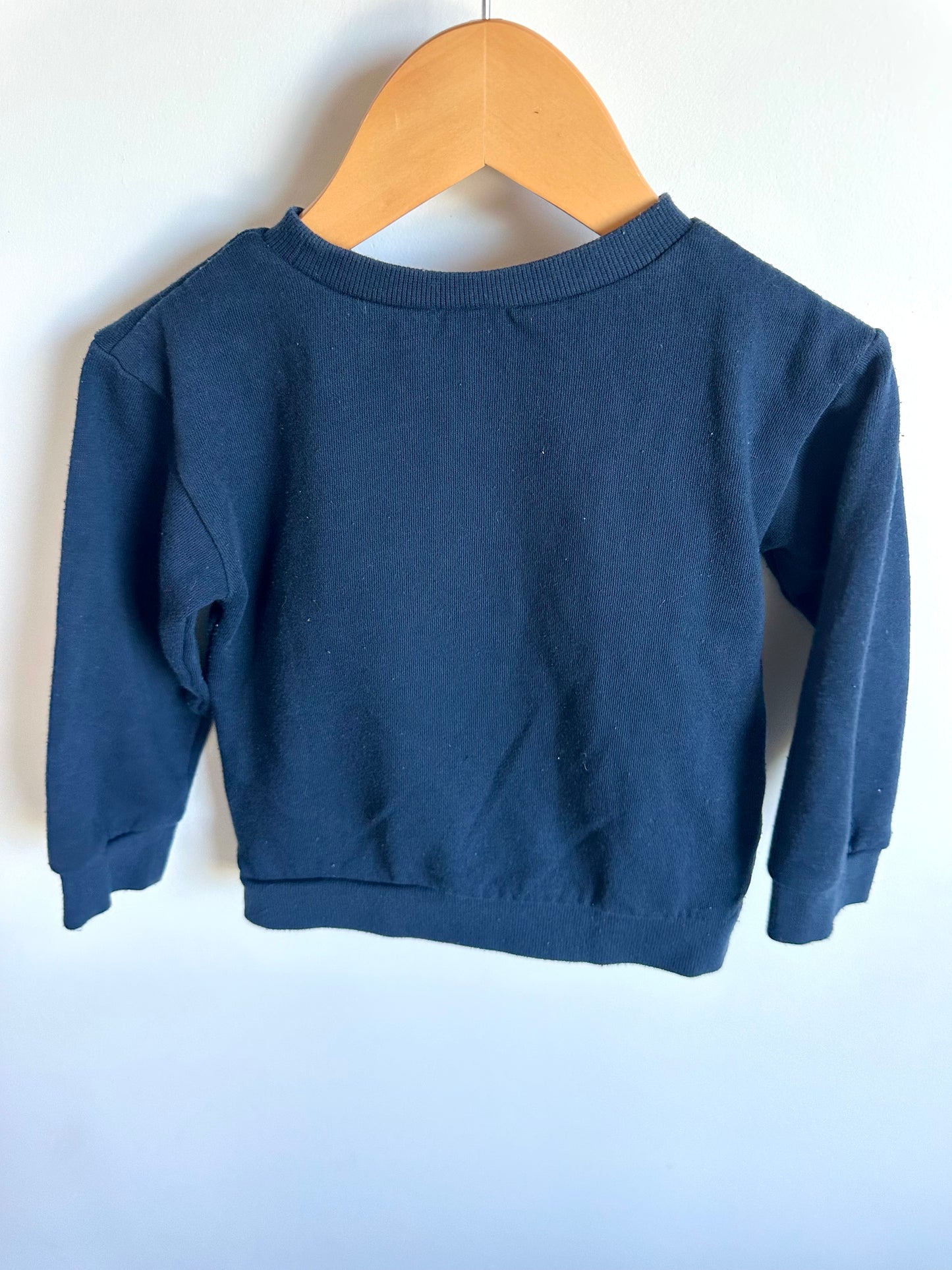 Navy Embroidered Stegosaurus Crew / 18-24m