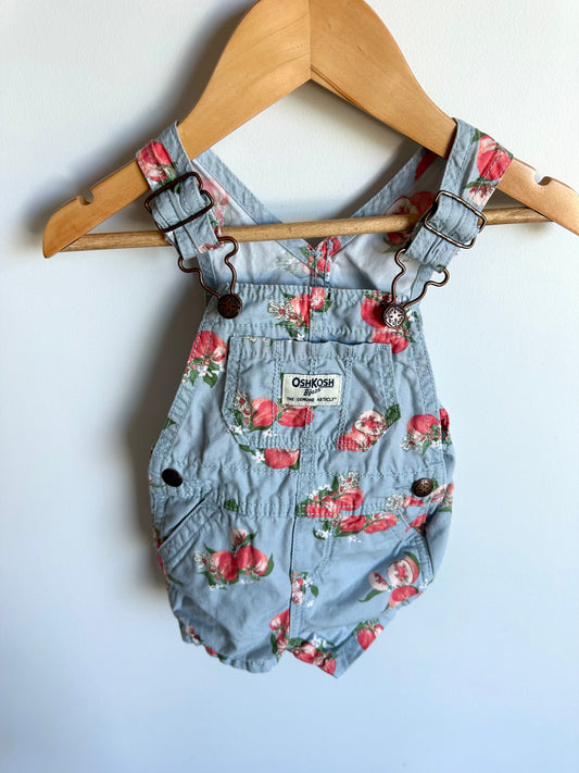 Floral Dusty Blus Short Overalls / 9m