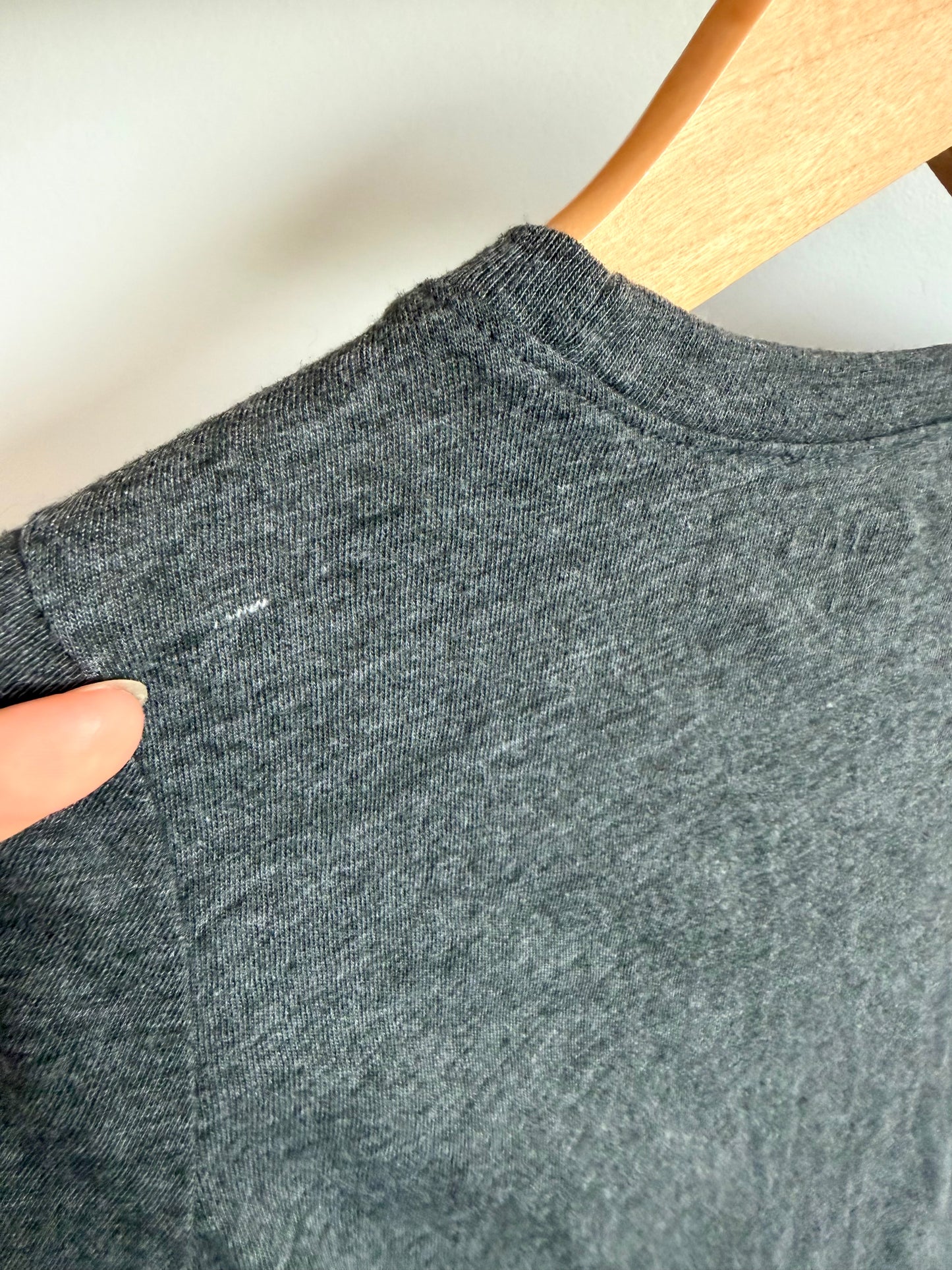Dino Grey T-Shirt / 4T