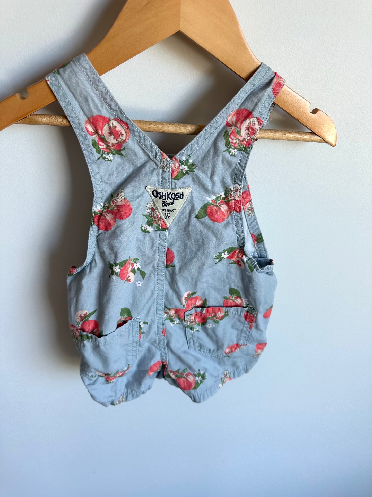 Floral Dusty Blus Short Overalls / 9m