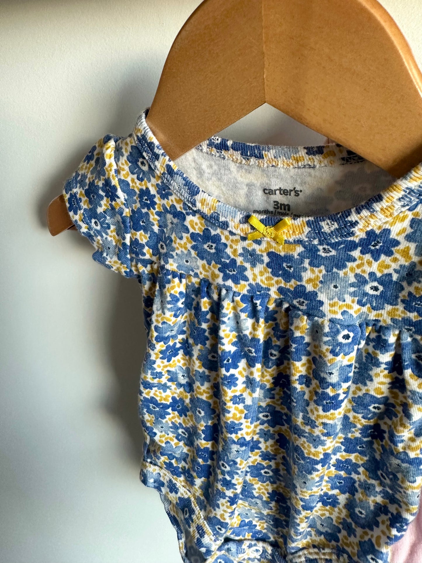 Blue Floral, Pink + Ruffle Sleeve Bodysuits (3) / 3m