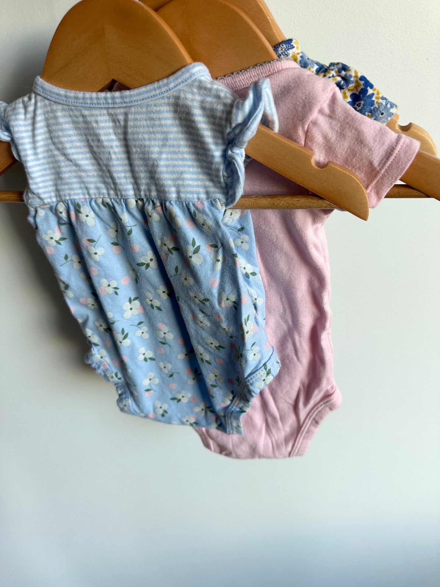 Blue Floral, Pink + Ruffle Sleeve Bodysuits (3) / 3m
