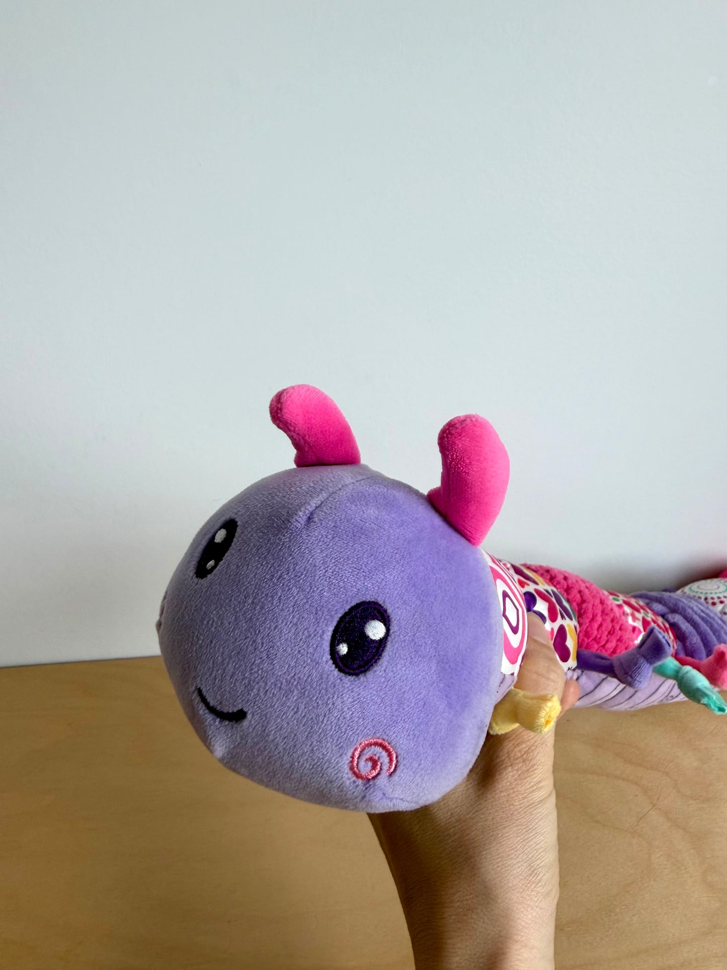 Ruler Worm Stuffy Toy (No Shipping)
