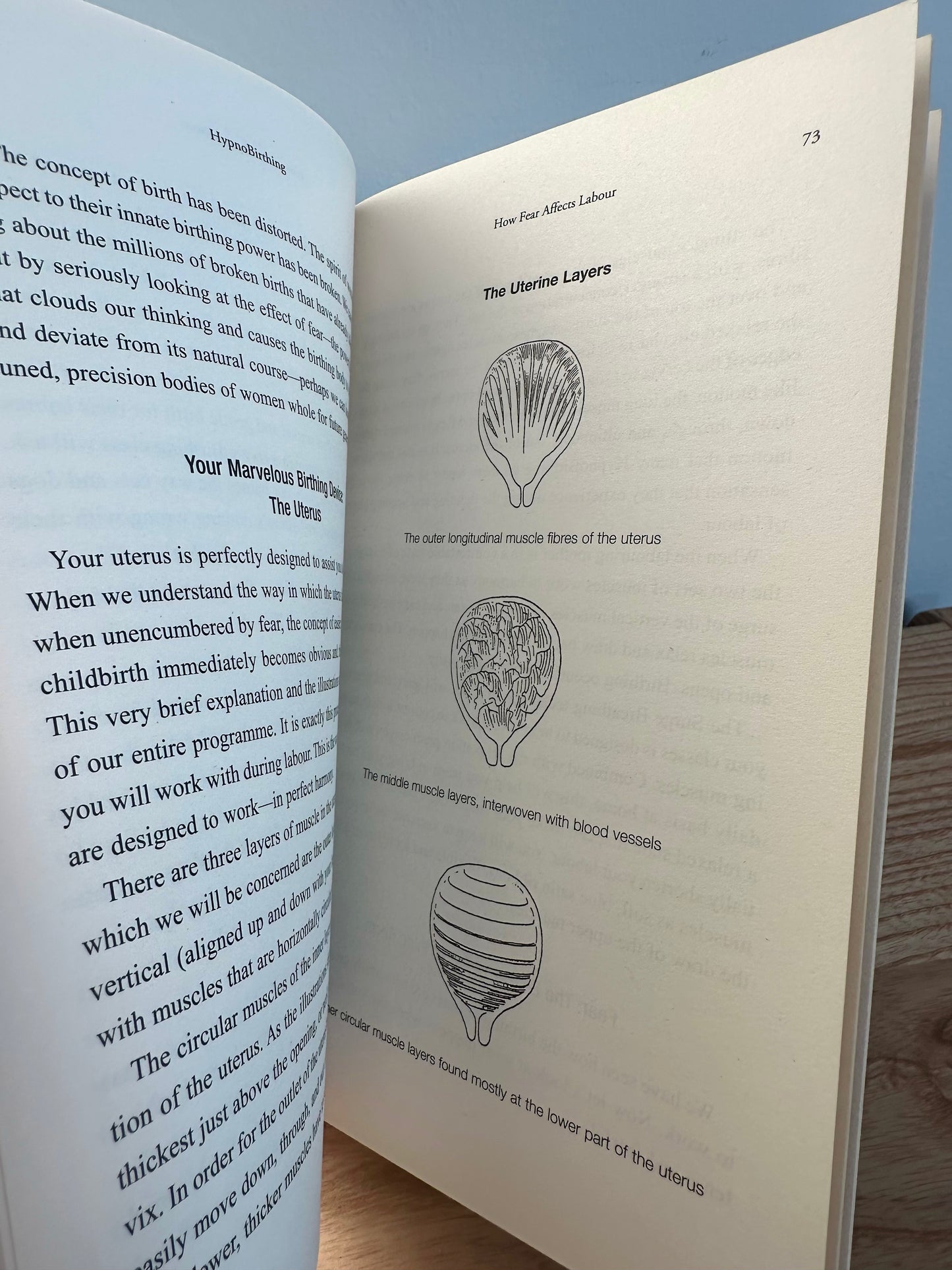 HypnoBirthing Book
