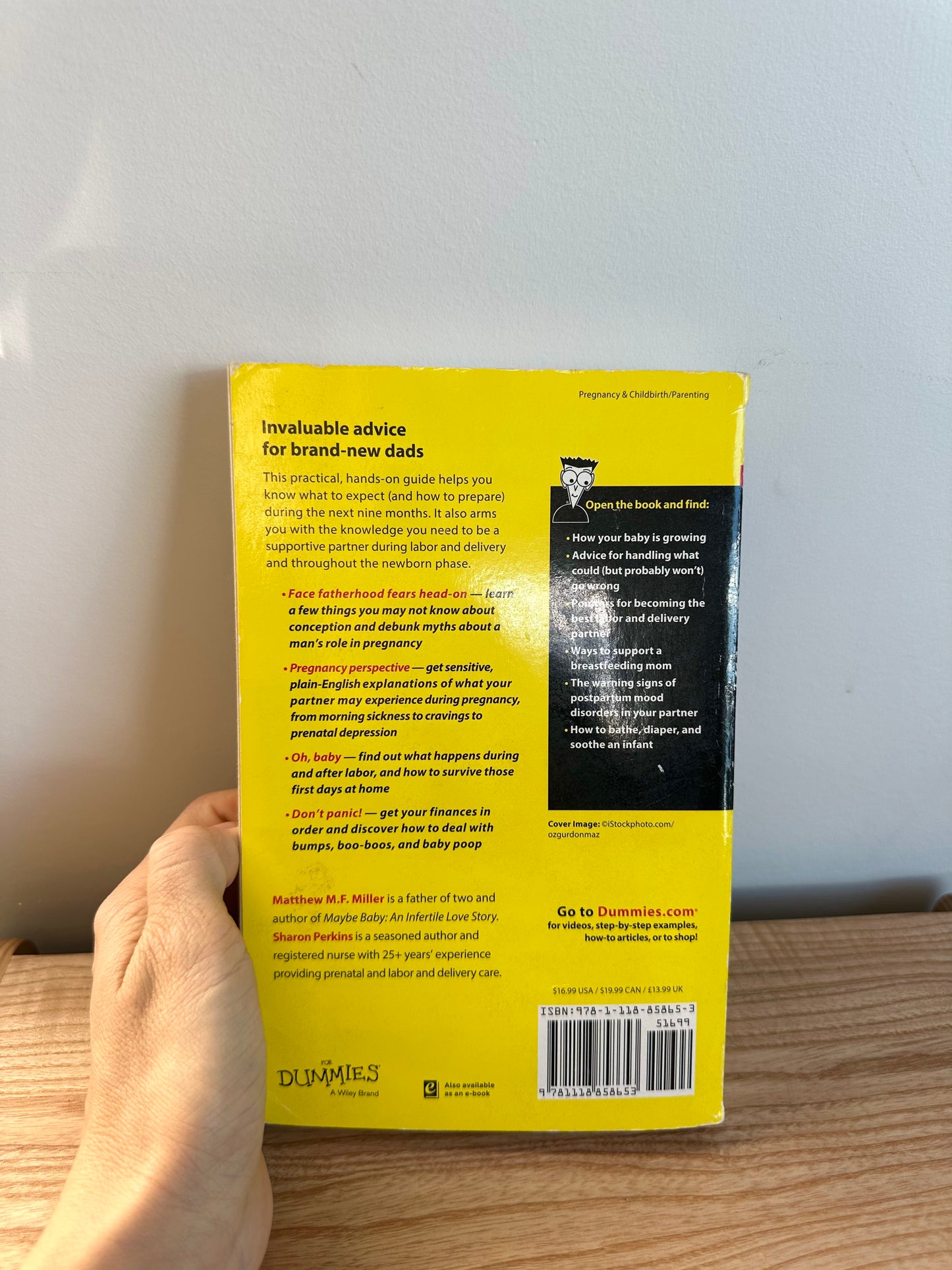 Dad's Guide to Pregnancy Book
