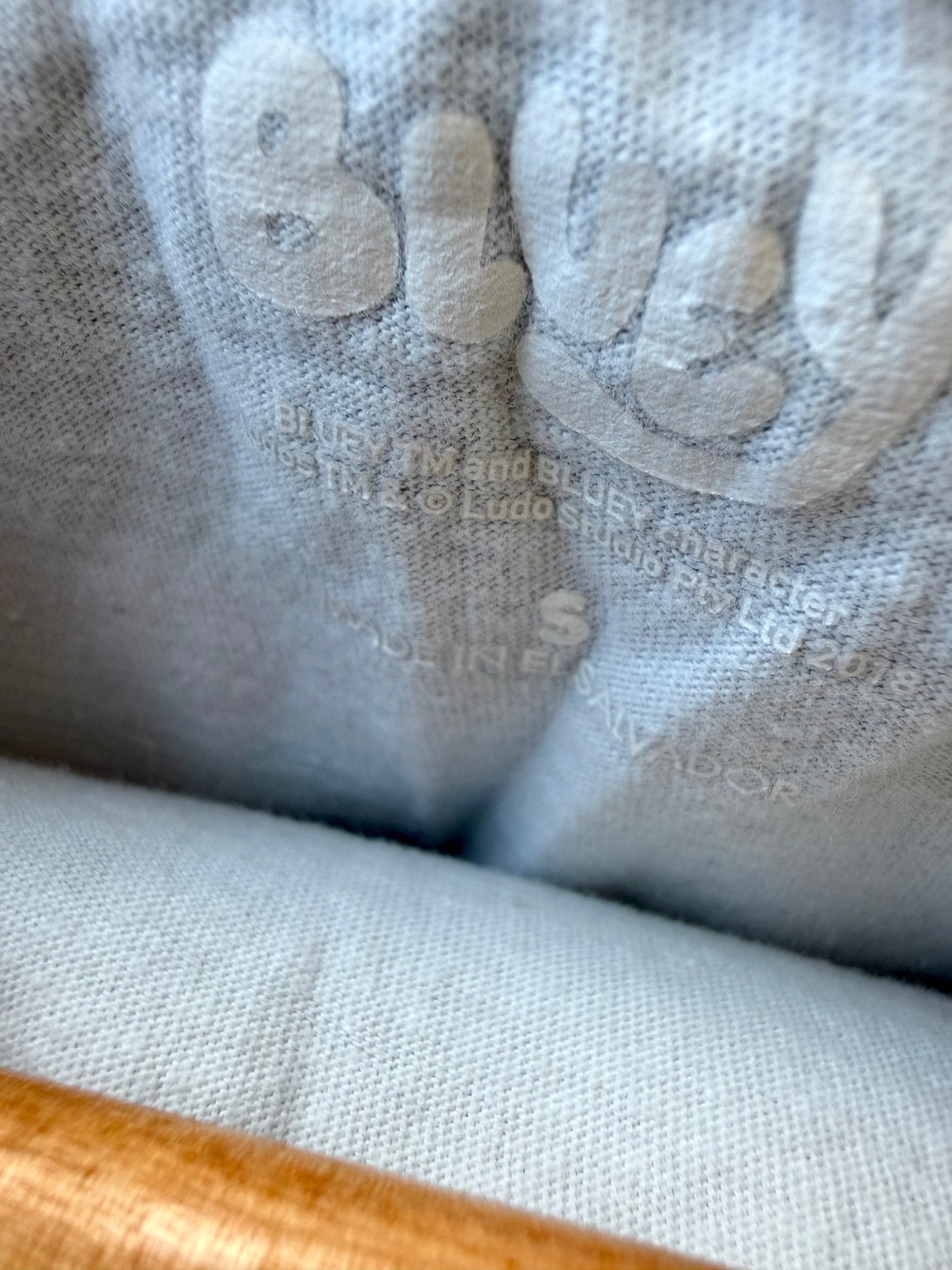 Bluey T-shirt (PLAY) / 5T
