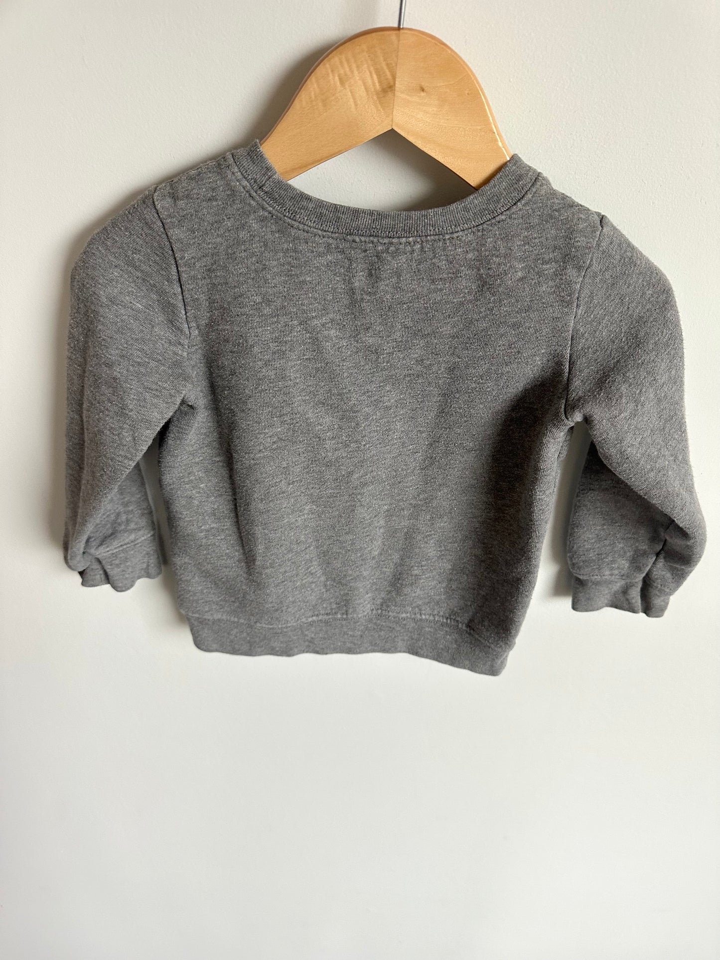 Fox Grey Sweater / 24m