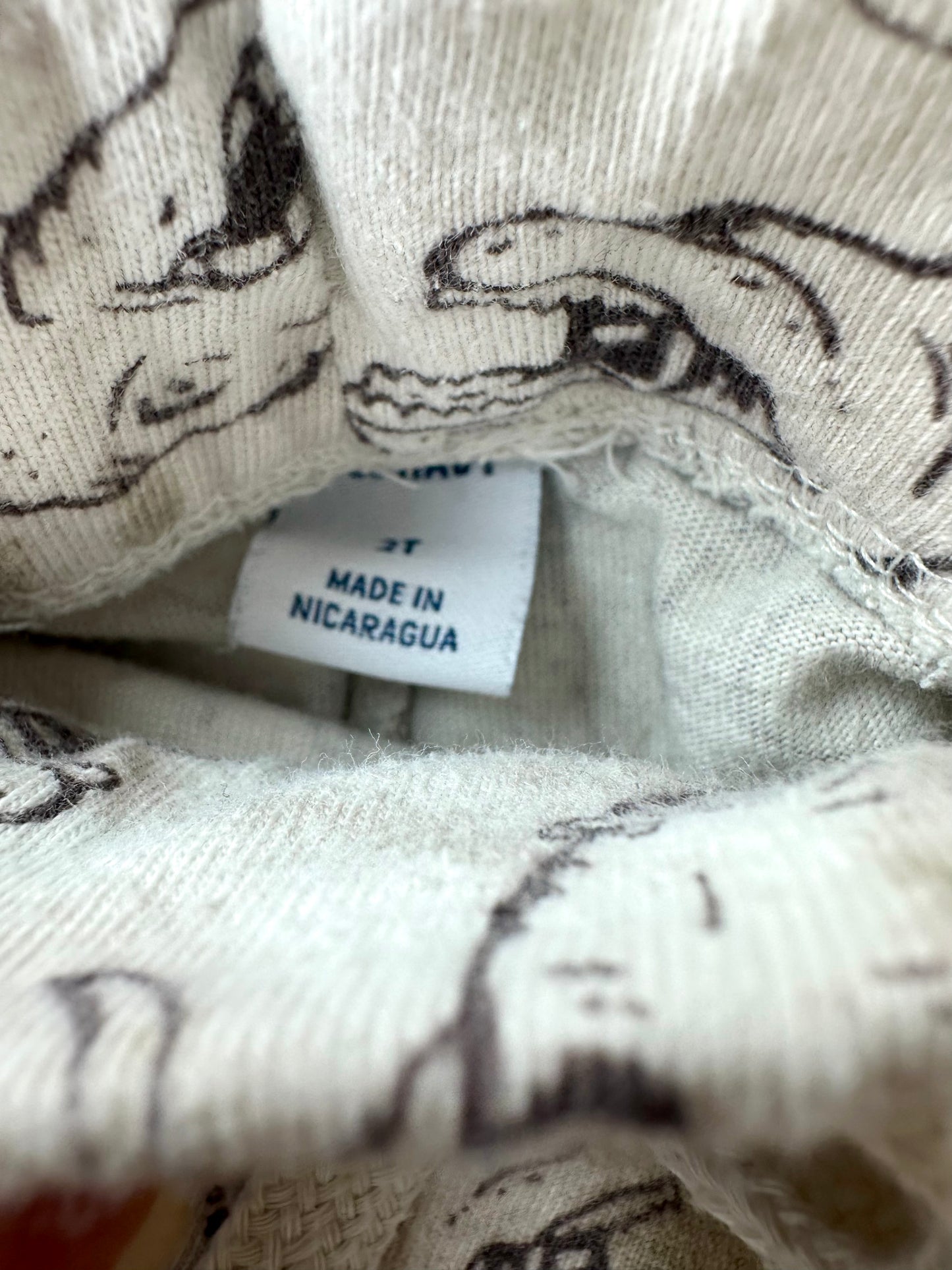 T-Rex Drawstring Joggers / 2T