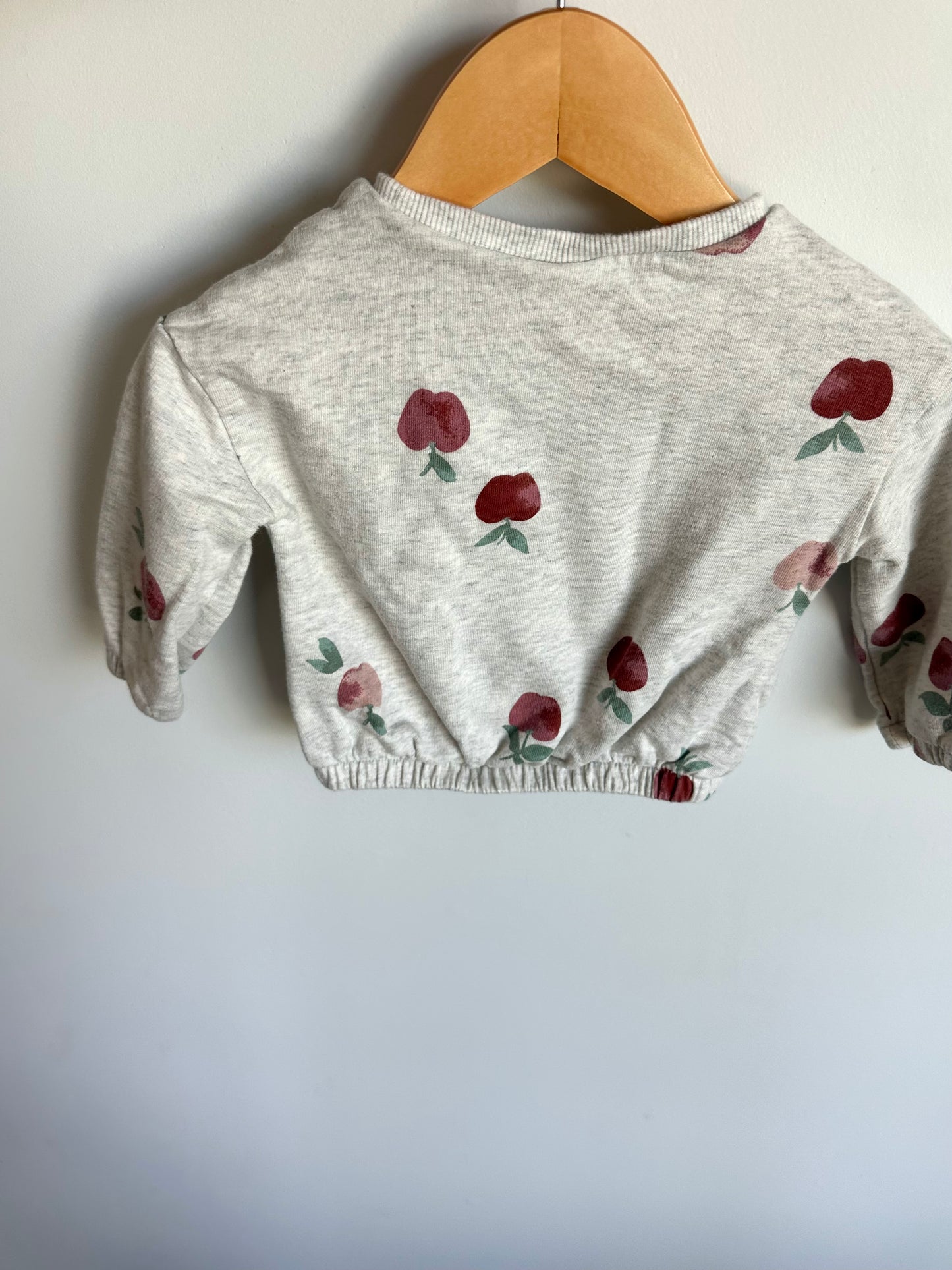 Grey Apple Crewneck / 6m