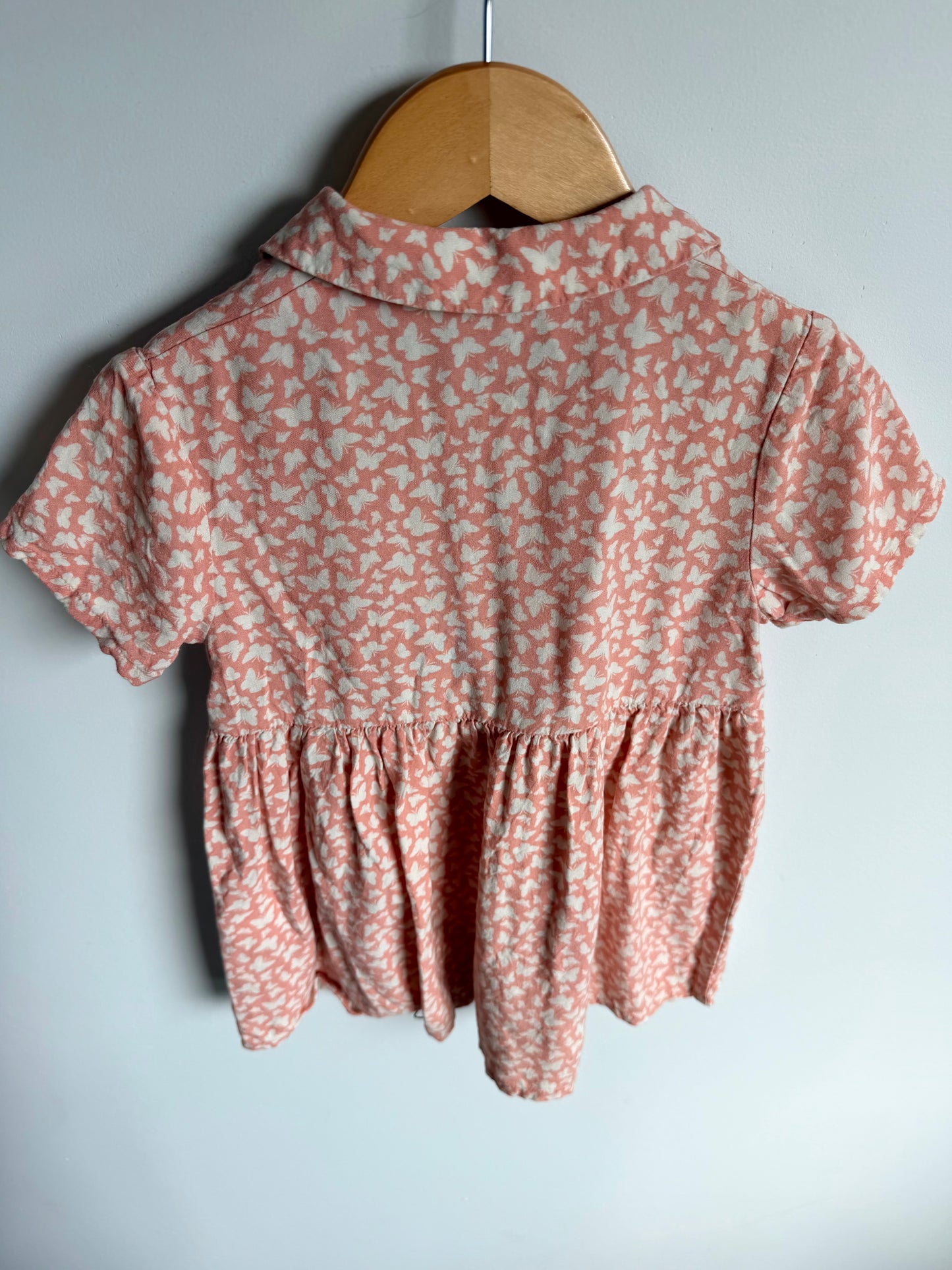 H&M Butterfly Collared Dress / 2-3T
