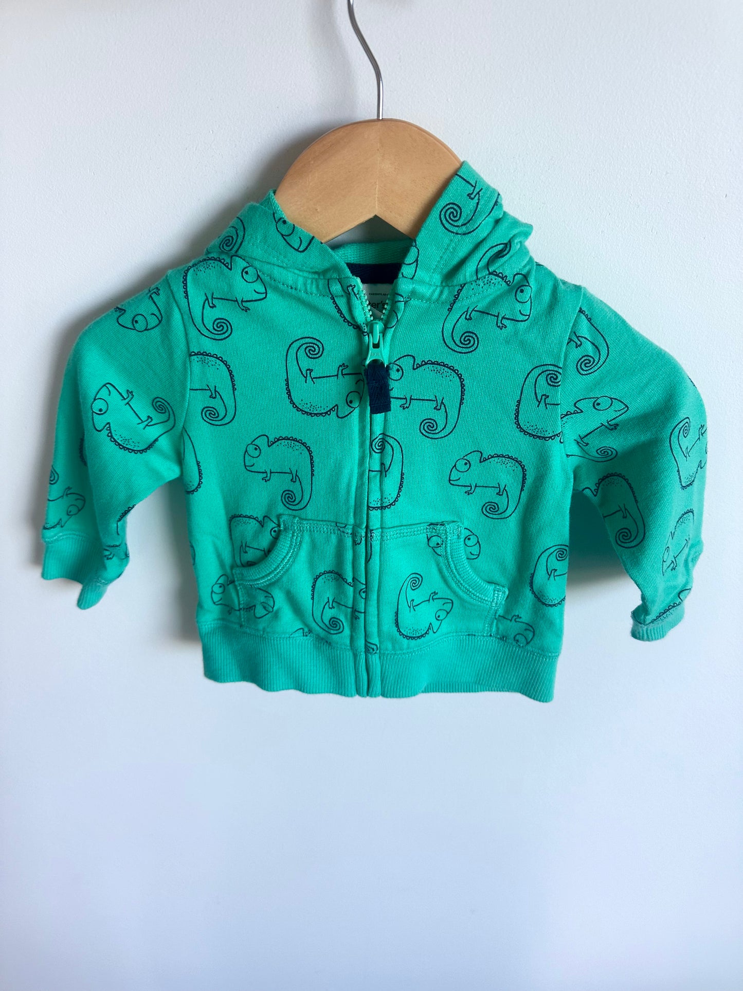 Teal Chameleon Sweater / 6m