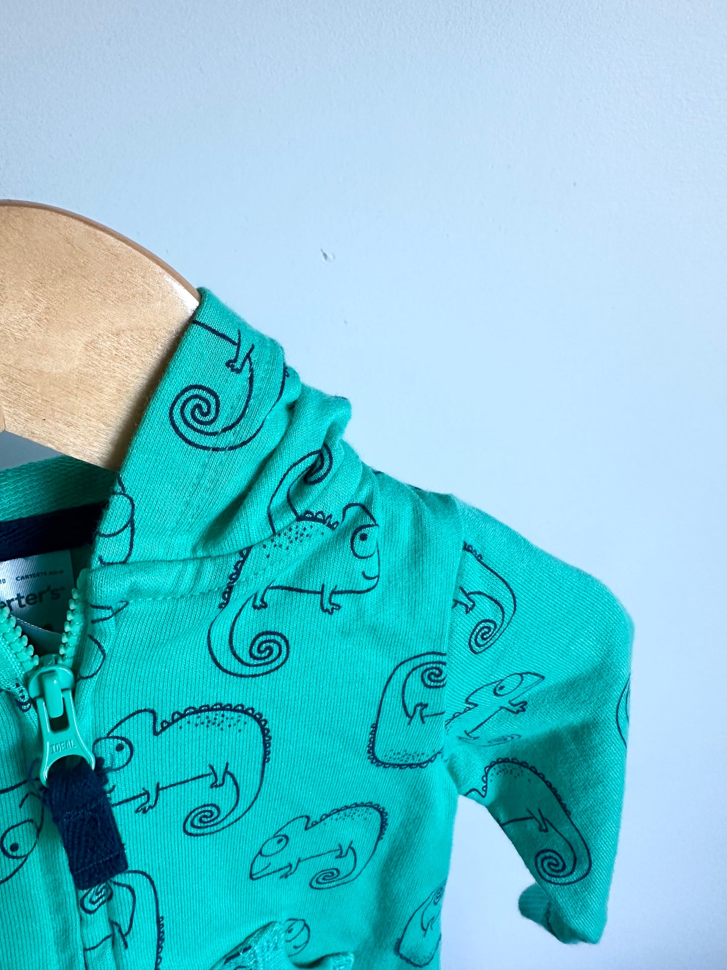 Teal Chameleon Sweater / 6m