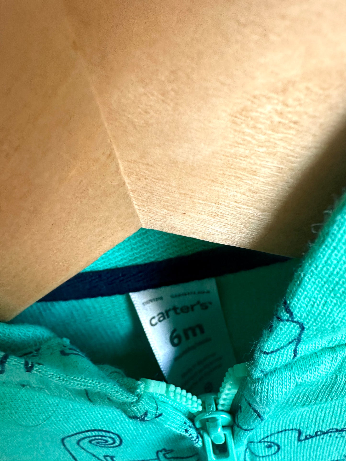 Teal Chameleon Sweater / 6m