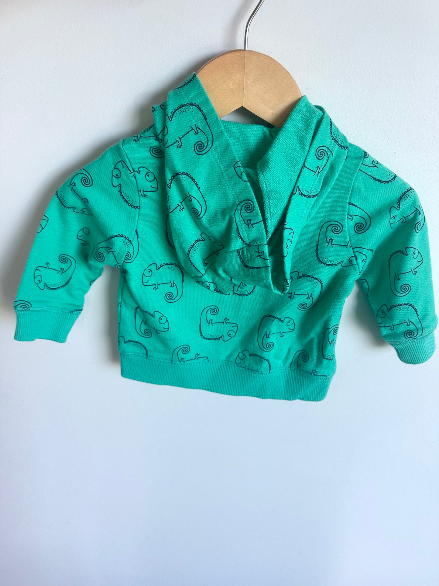 Teal Chameleon Sweater / 6m