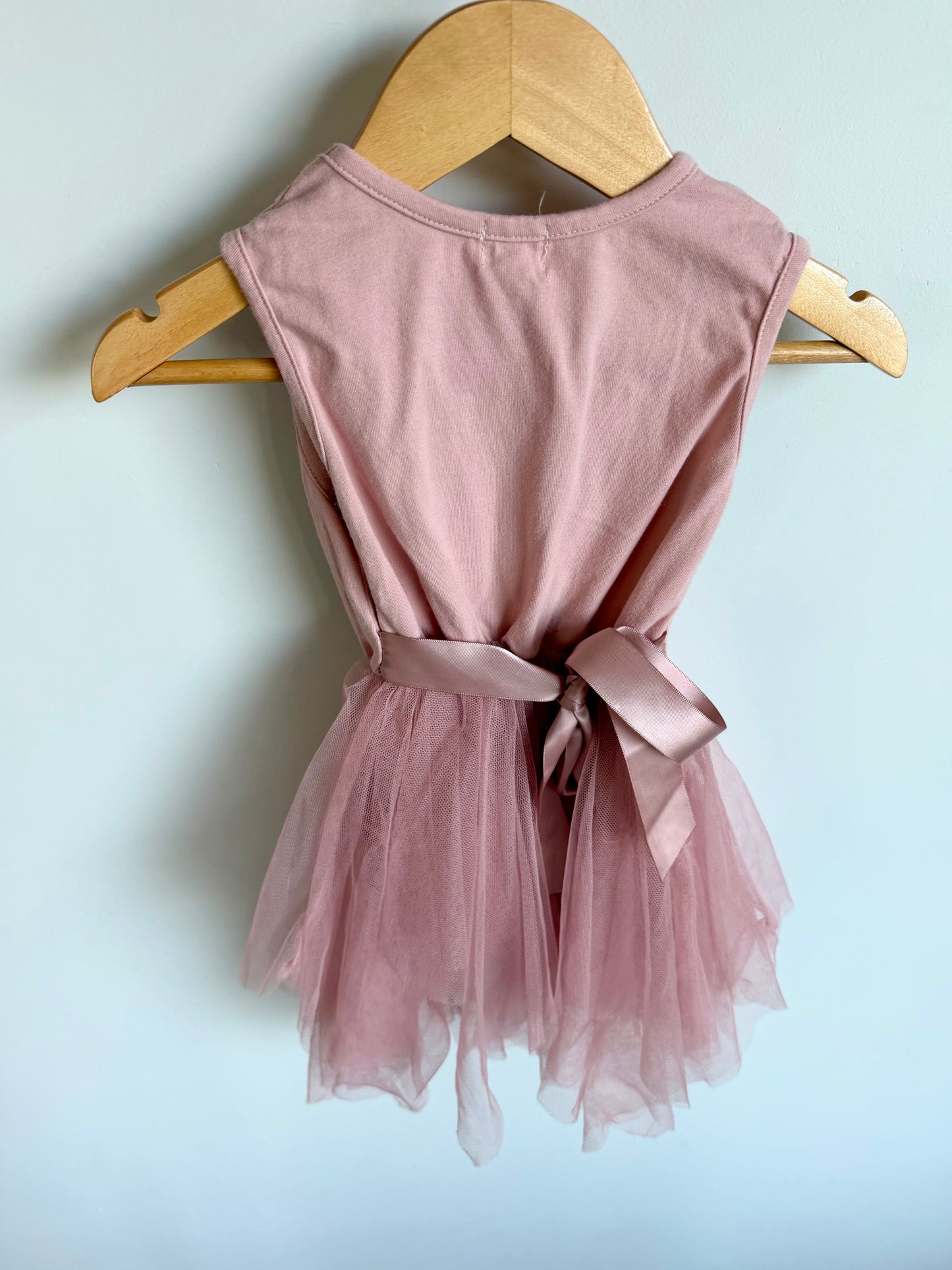 Rainbow Tutu Dress / 18m
