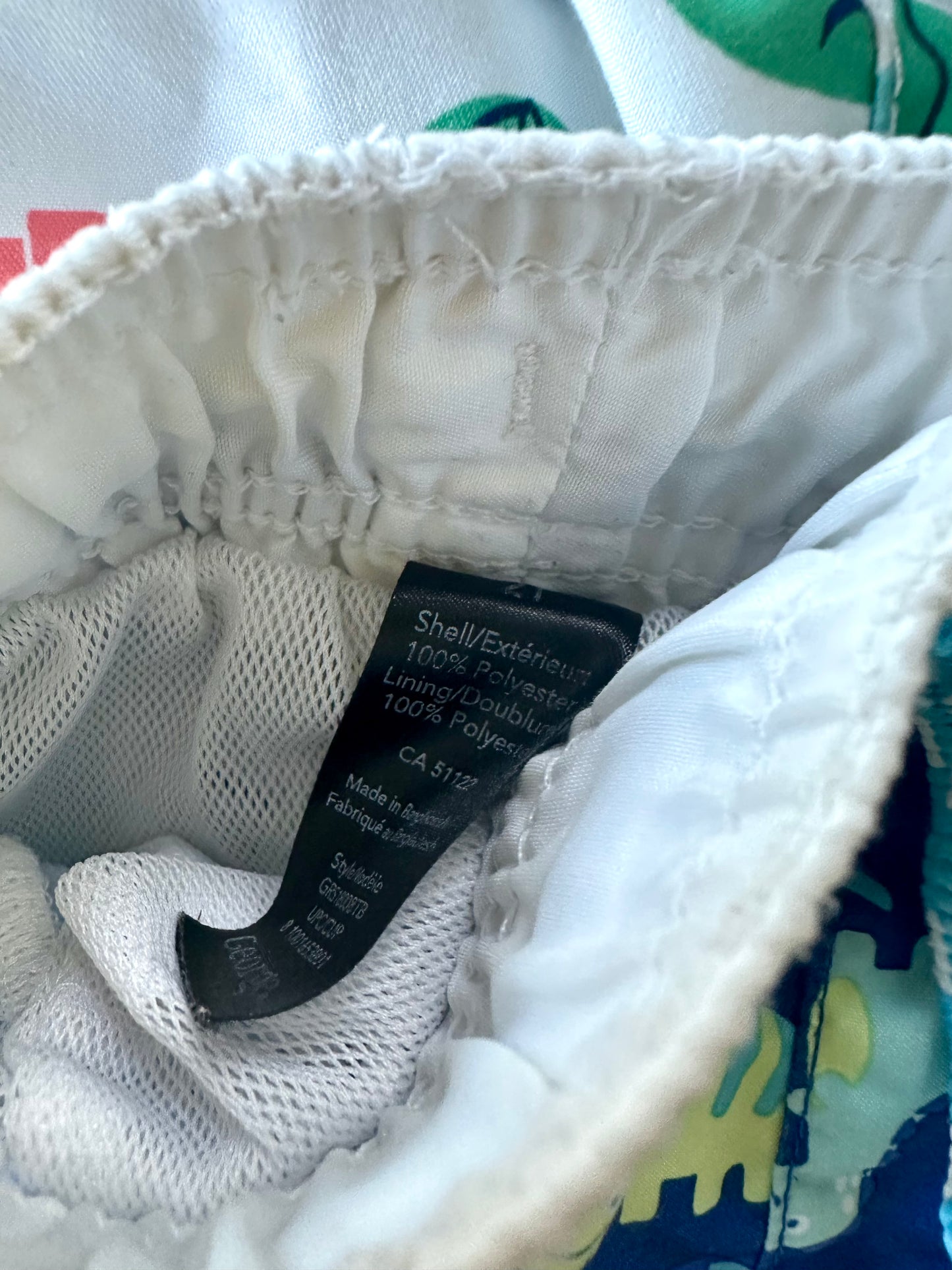 Blue Dino Swim Shorts / 2T