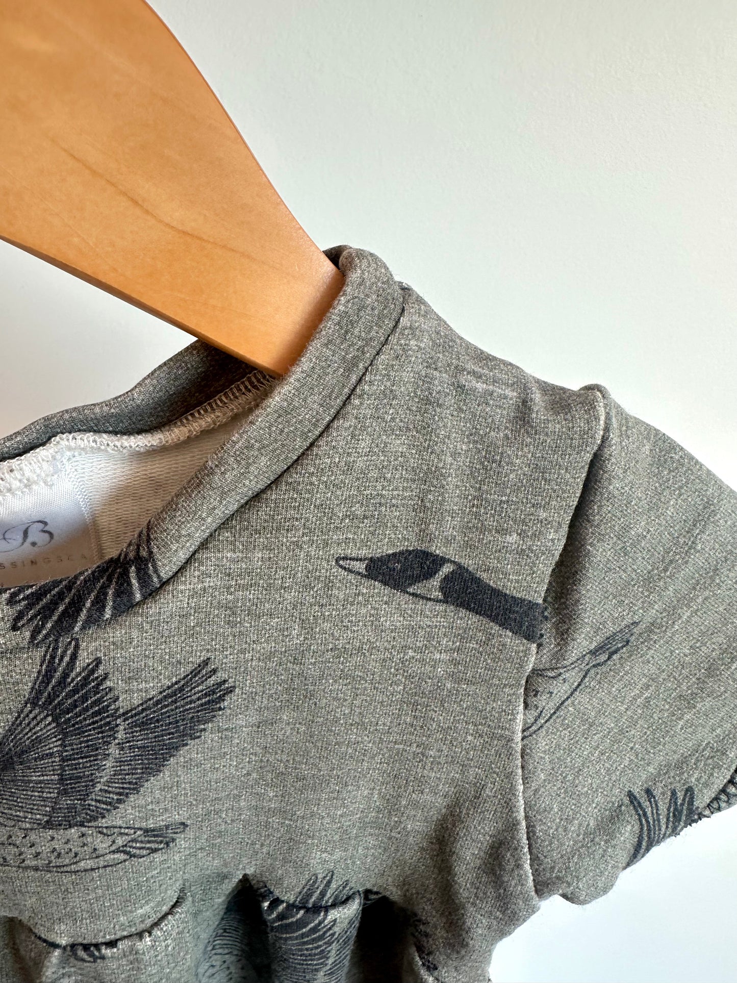 Geese Sage T-Shirt / 4T