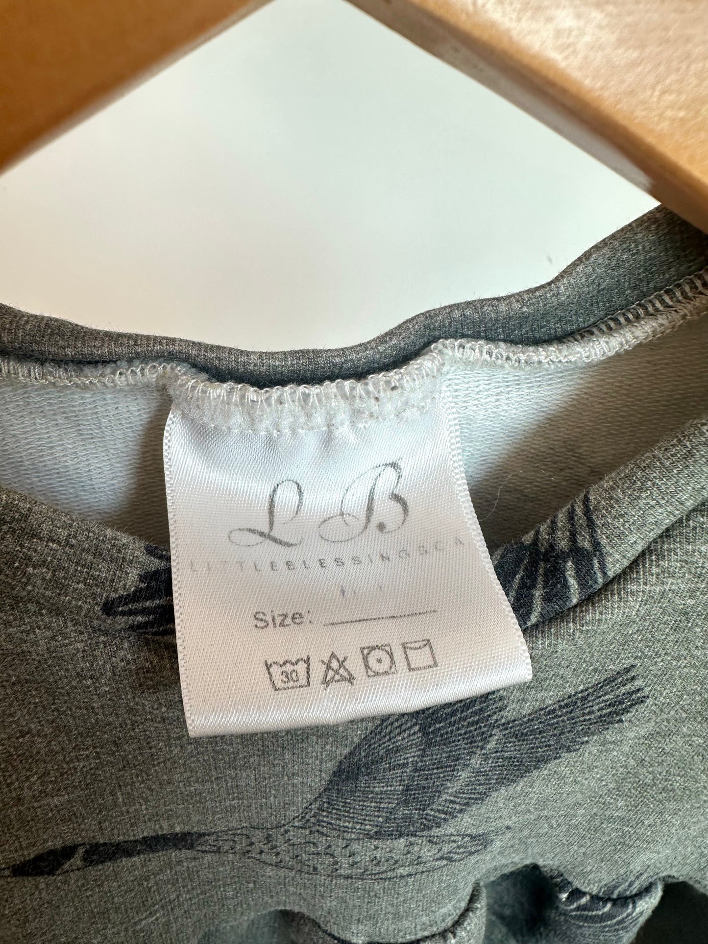Geese Sage T-Shirt / 4T