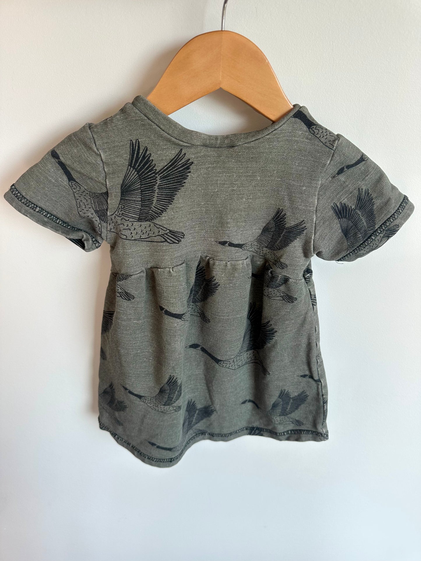 Geese Sage T-Shirt / 4T