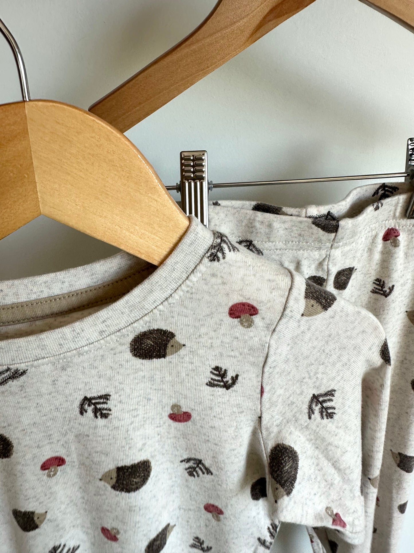 Hedgehog Pj Set / 4T