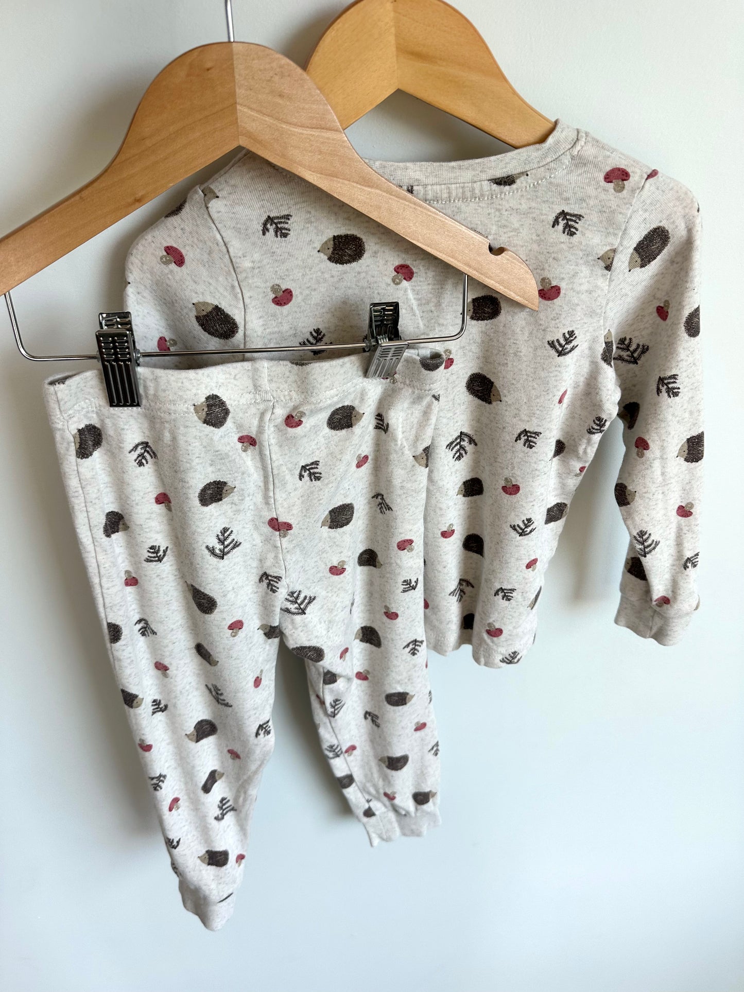 Hedgehog Pj Set / 4T