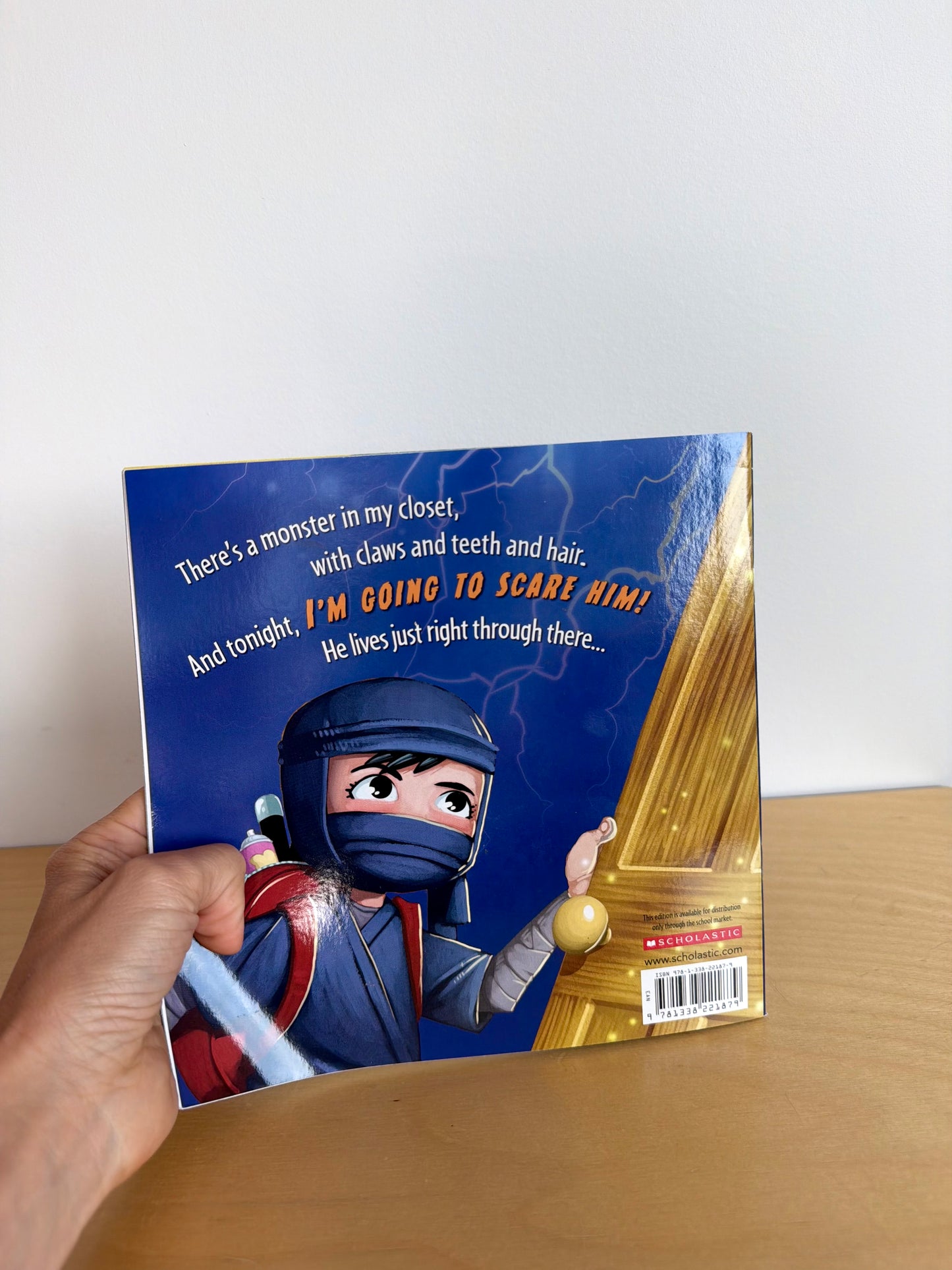 How to Catch a Monster Softcover Book / 4-8 years