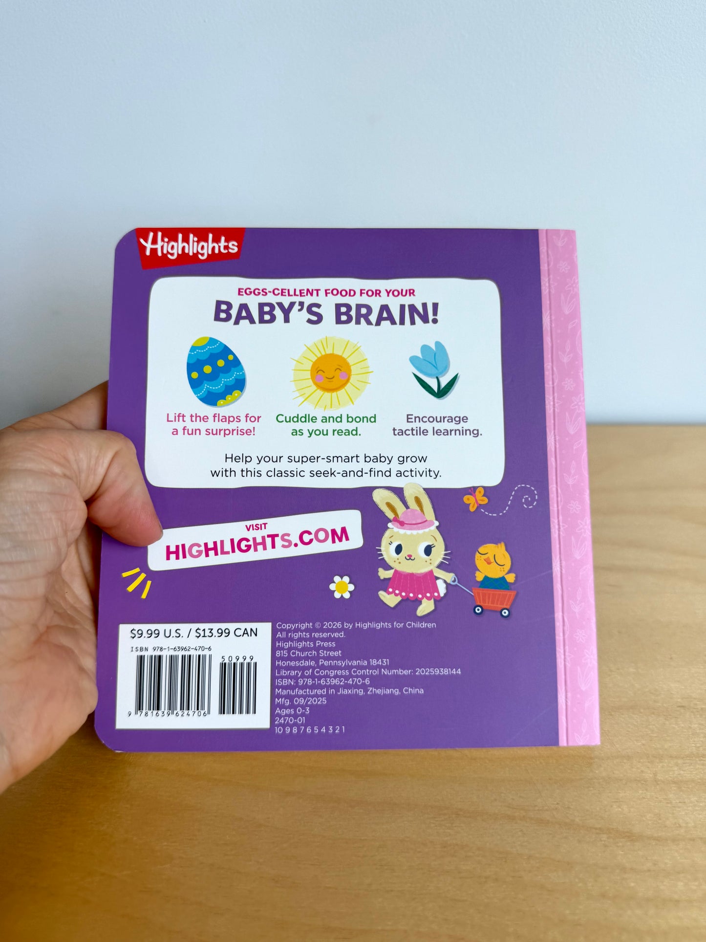 My Very First Easter Hidden Pictures Flap Book / 0-3 years