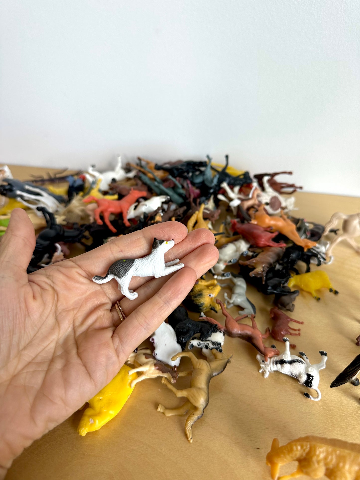 Large Animal Collection